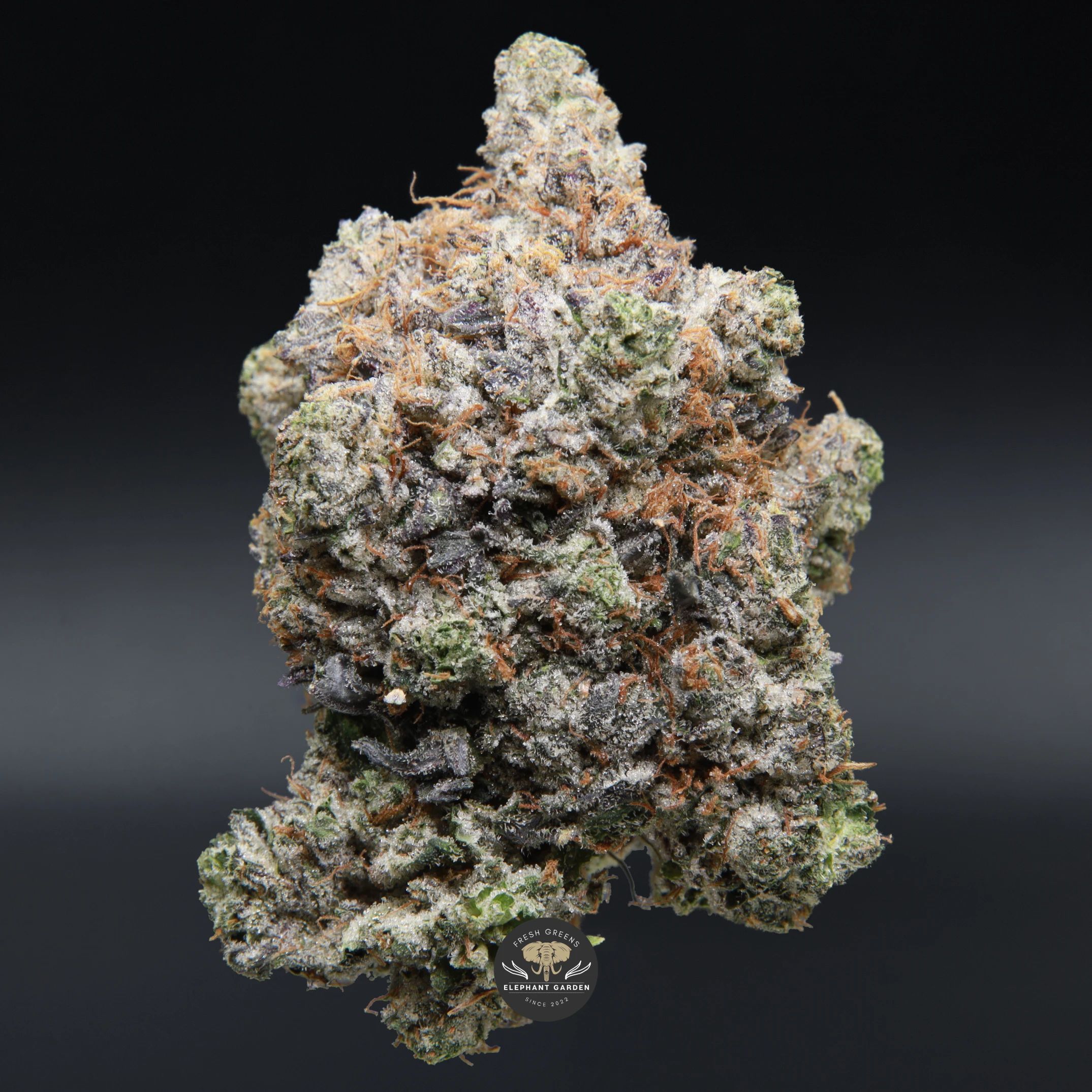 Doughboy Pink (gas) AAAA indica flower — close-up product photo
