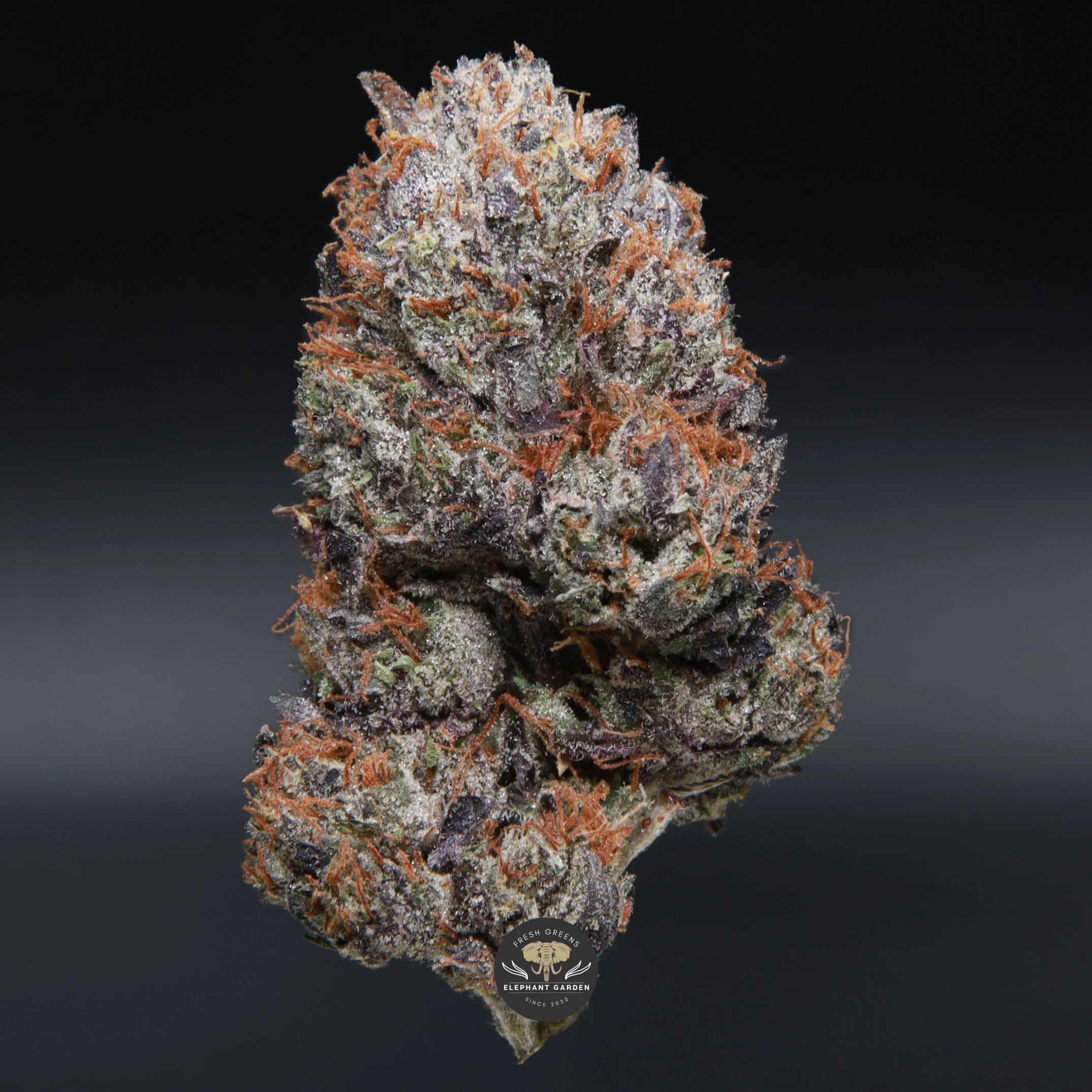 Organic Pink