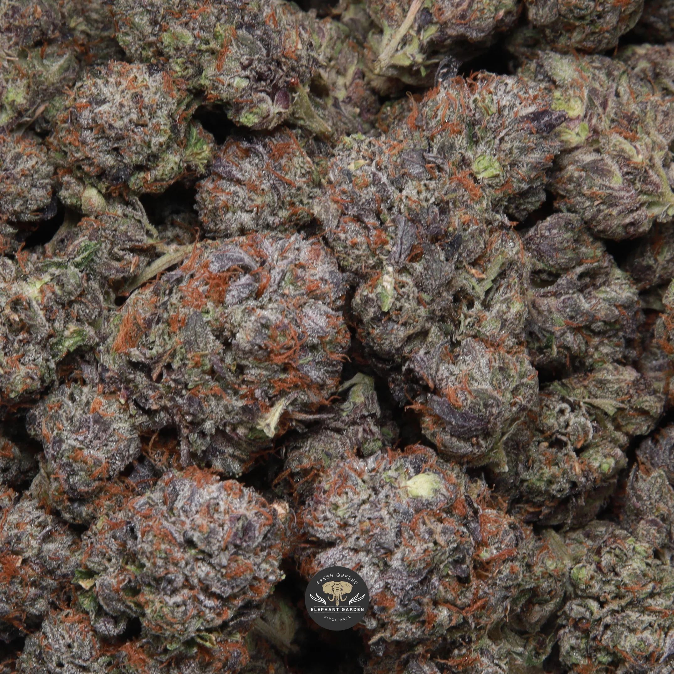 Organic Pink indica flower — dense frosty bud with pink pistils