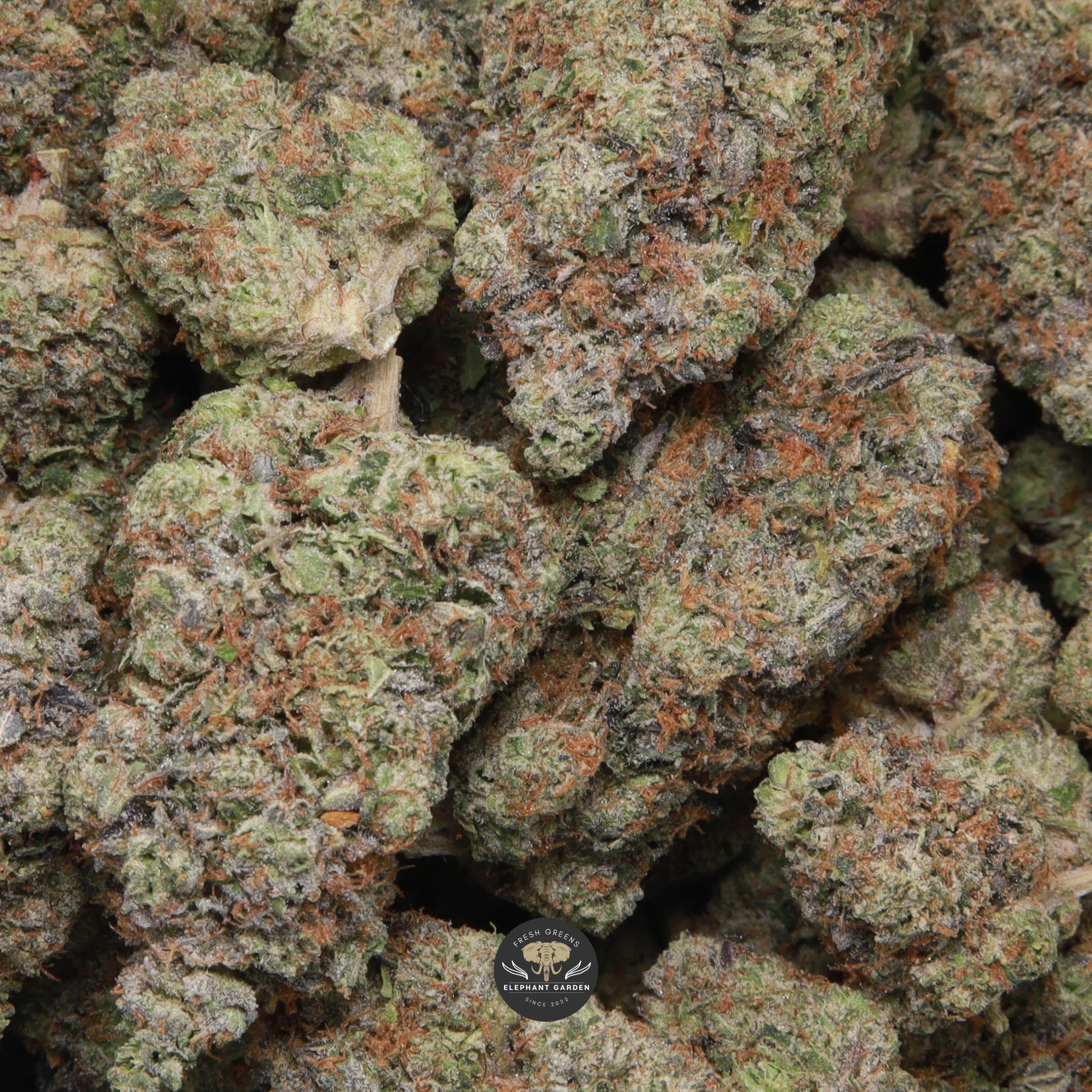 Platinum Pink indica flower — bagged AAA+ buds, product photo