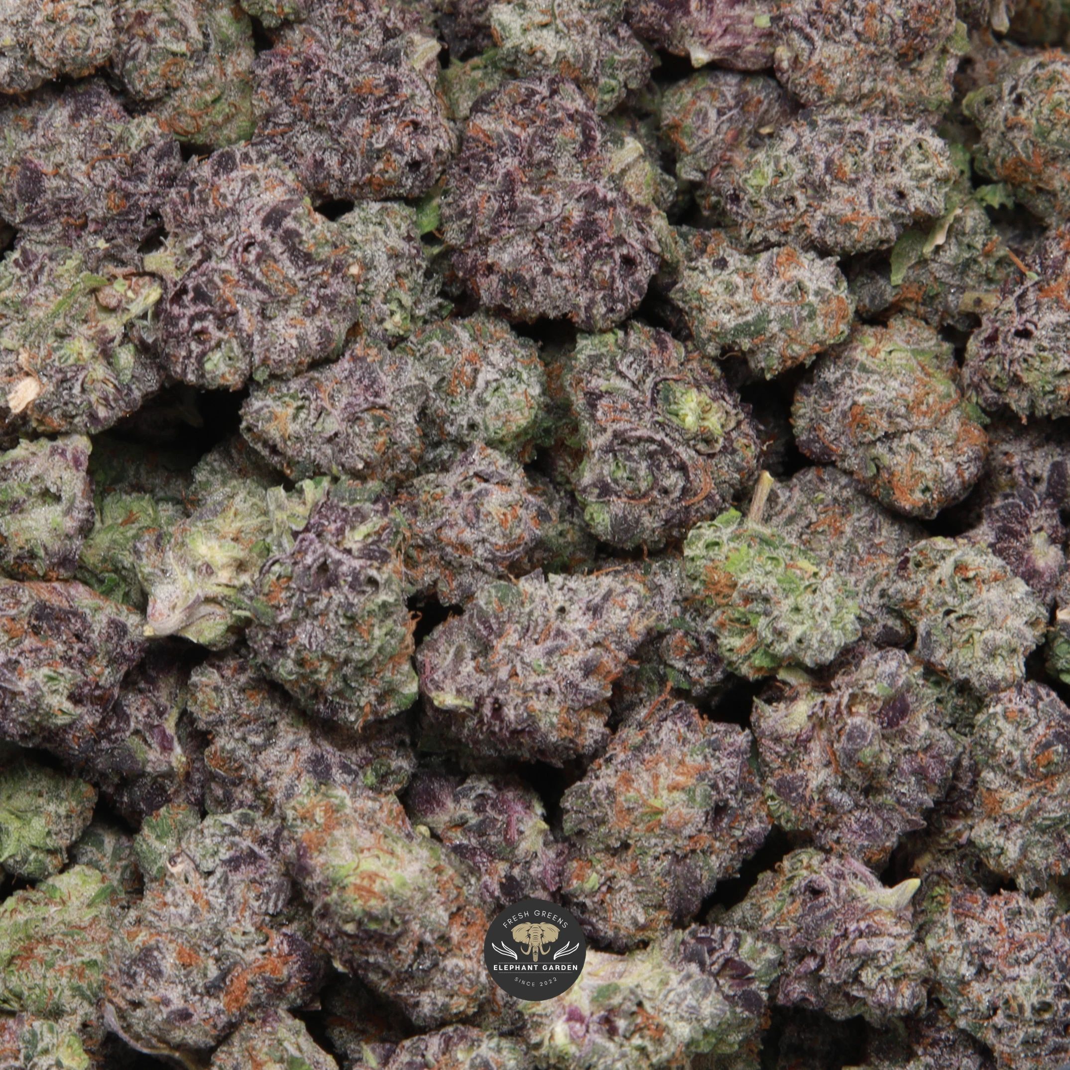 Beach Crasher hybrid flower smalls — close-up product photo