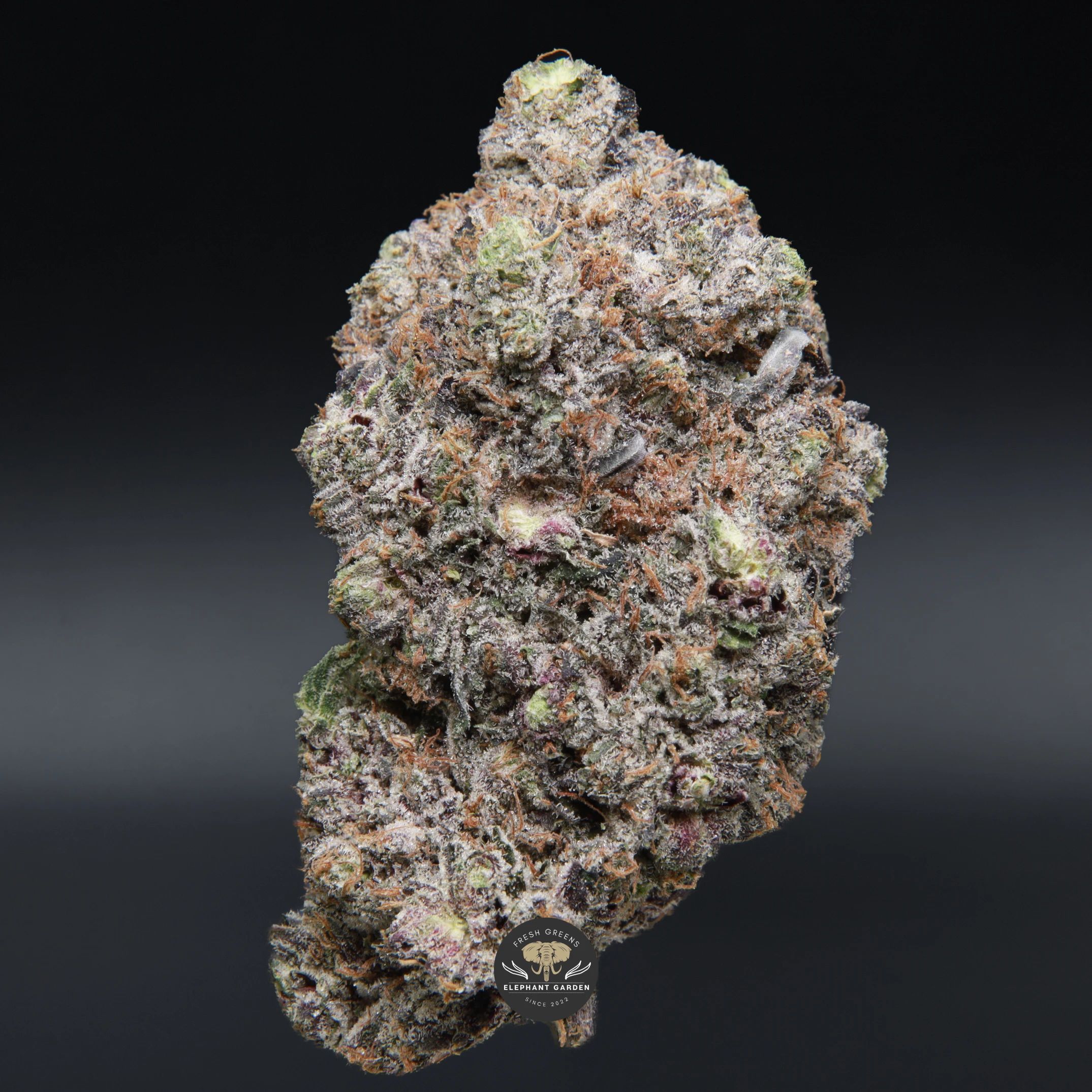 Coastal Pink AAAA indica flower, close-up product photo