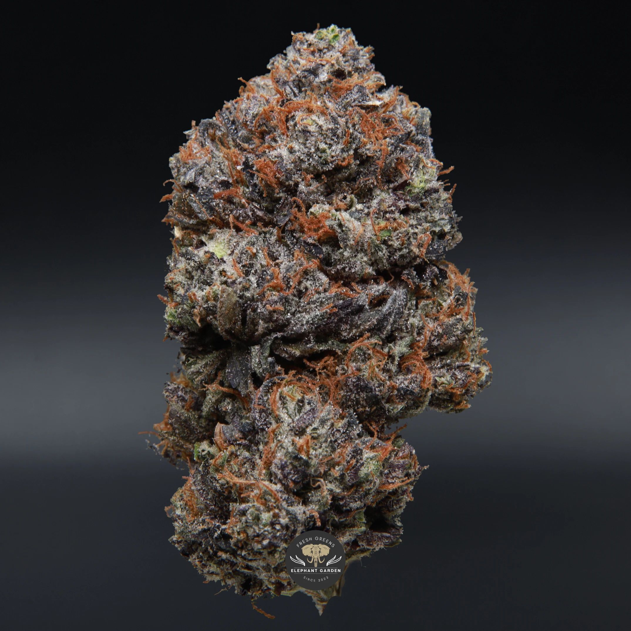 Death Ultra indica flower — close-up product photo