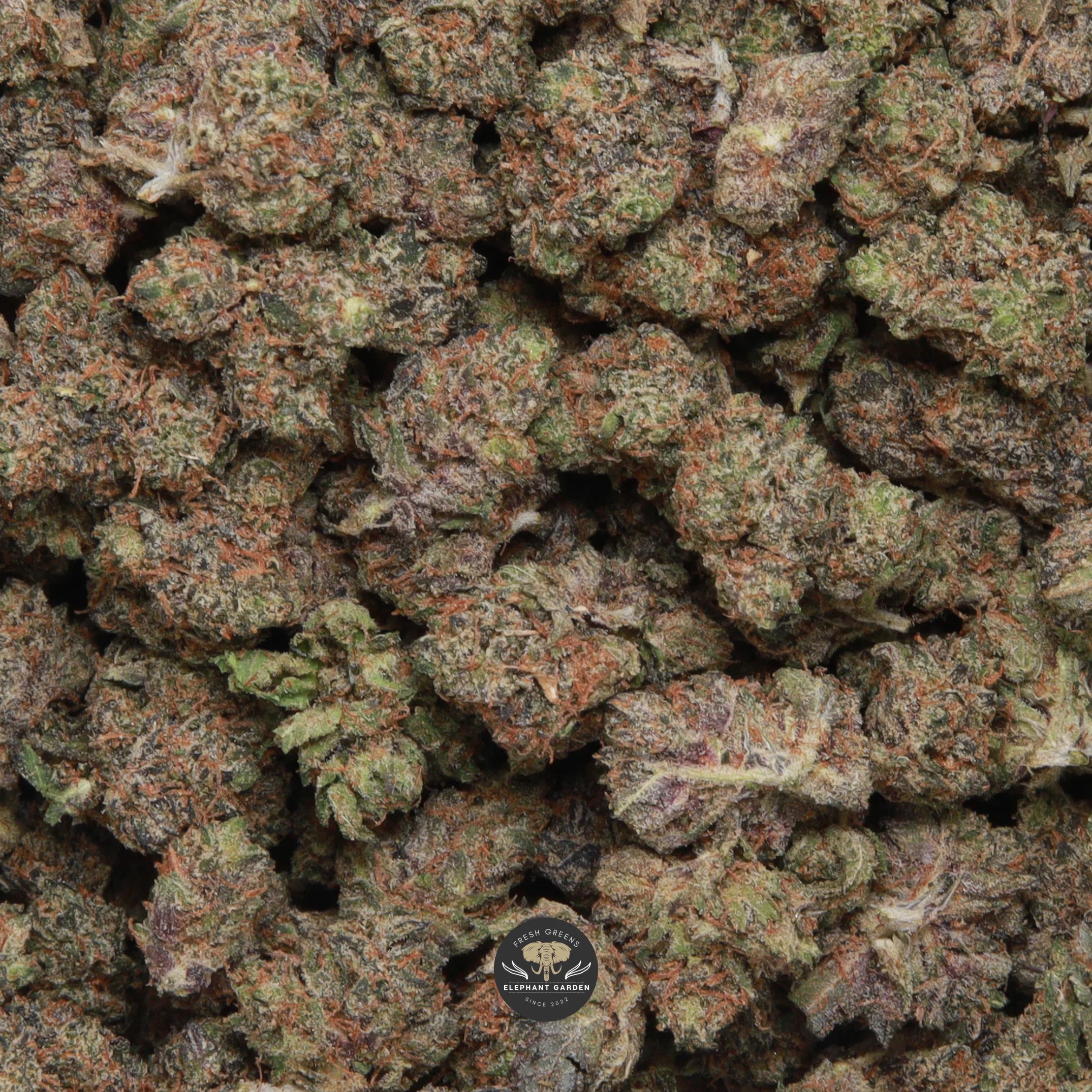 Death Walker indica popcorn buds — small dense nugs