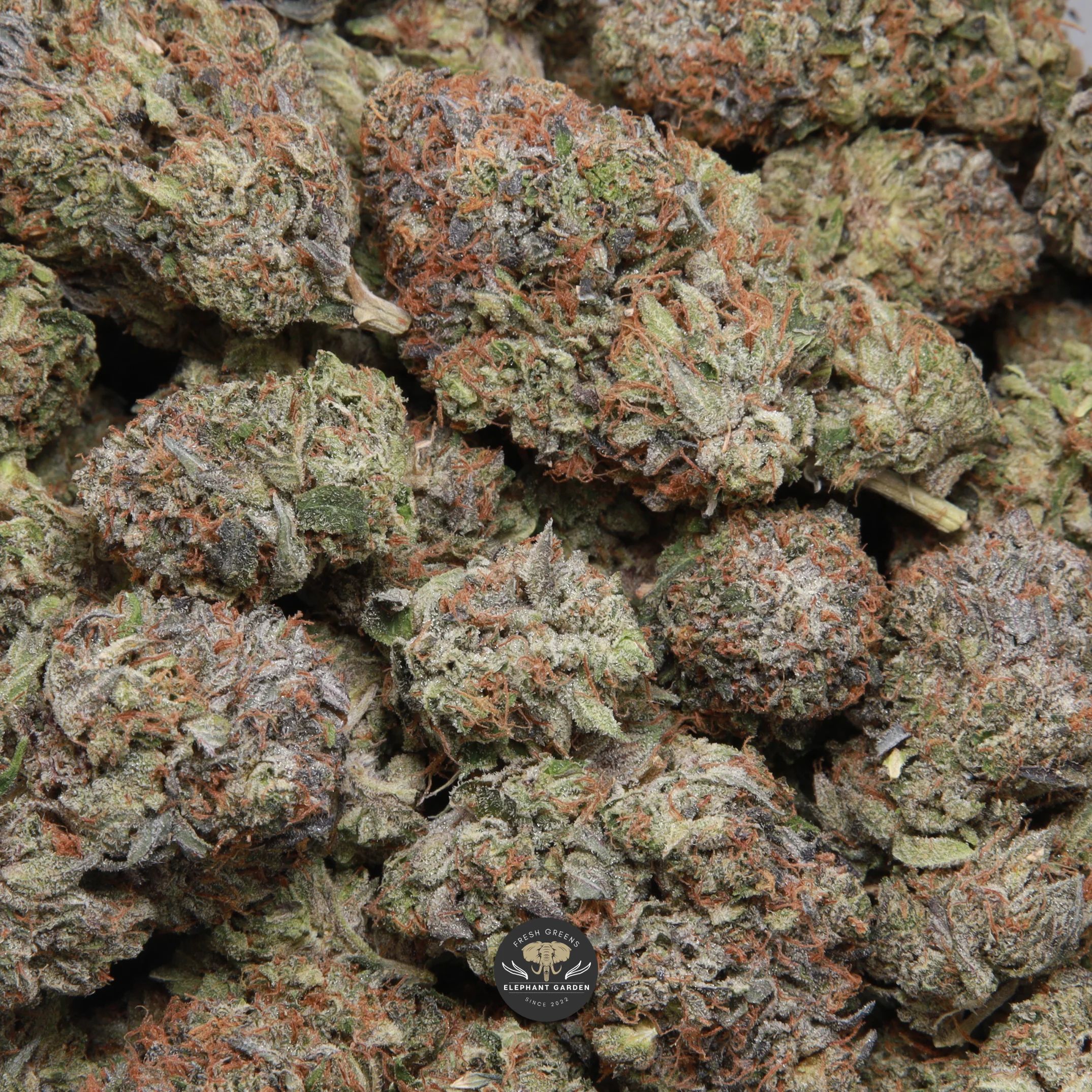 Kings Kush indica flower — packaged bag