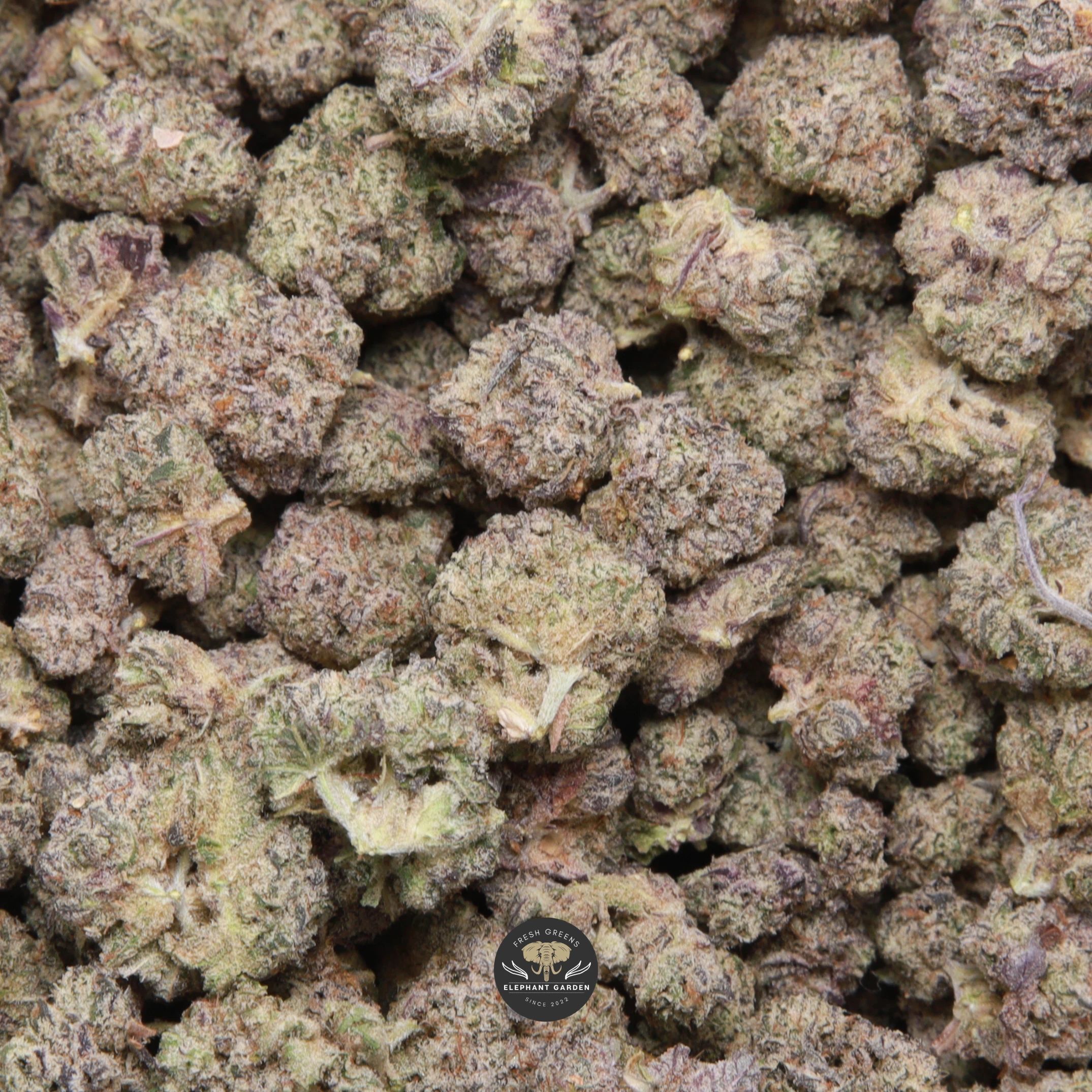 Kush Mints Smalls hybrid flower (smalls) close-up product photo