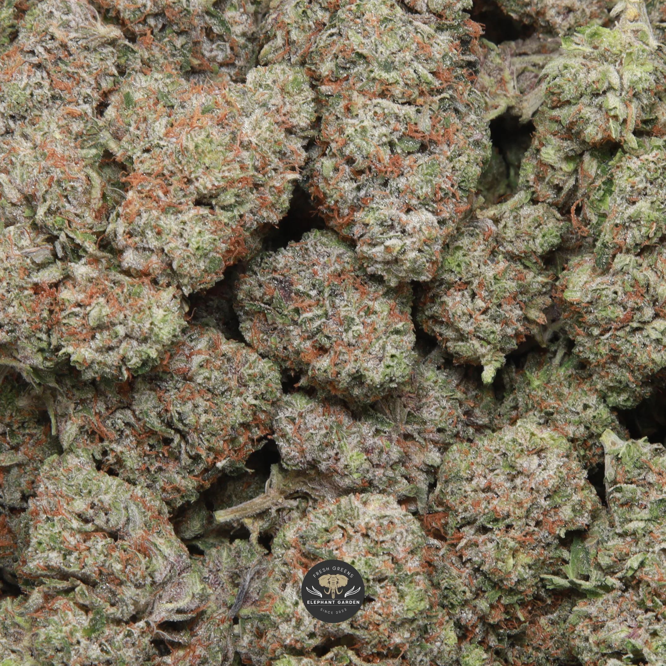 Pinkman Goo AAA+ indica flower, buds gallery photo