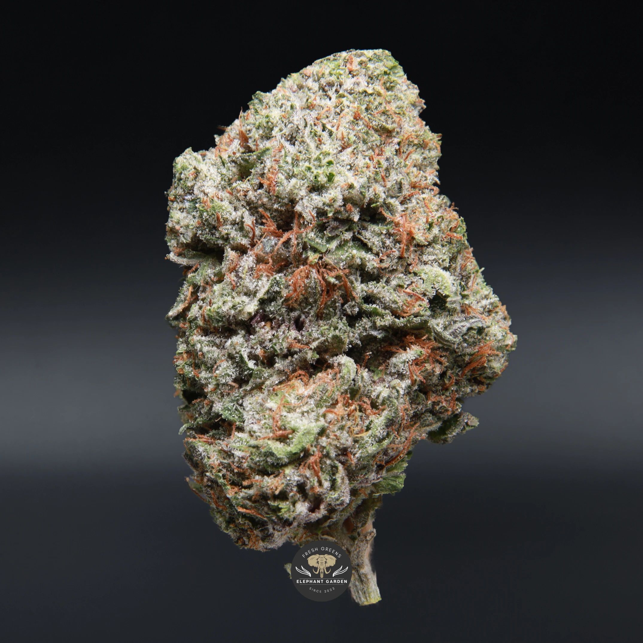 Pinkman Goo AAA+ indica flower, close-up product photo
