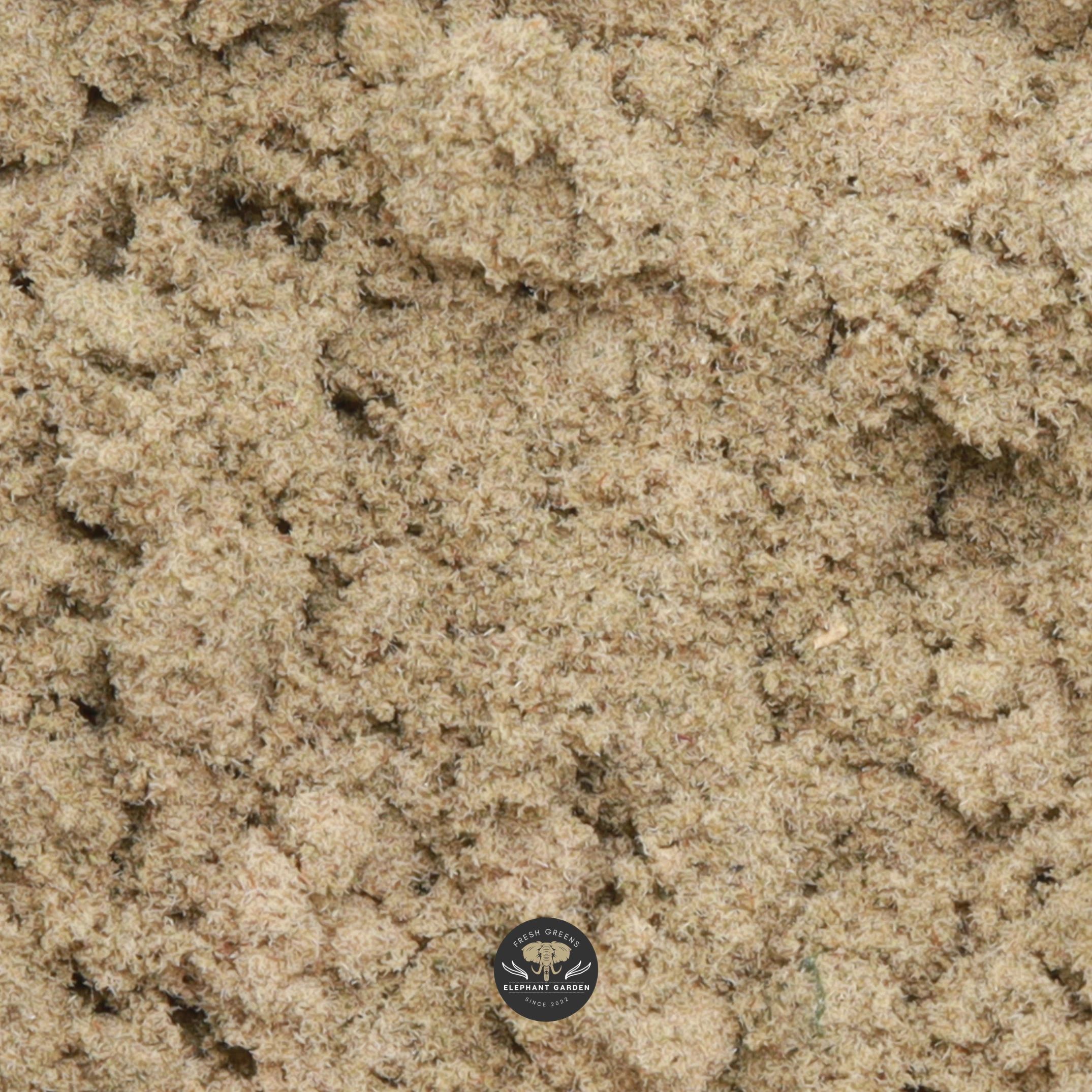 Blue Zookies Kief hybrid kief — close-up of sifted golden trichome powder