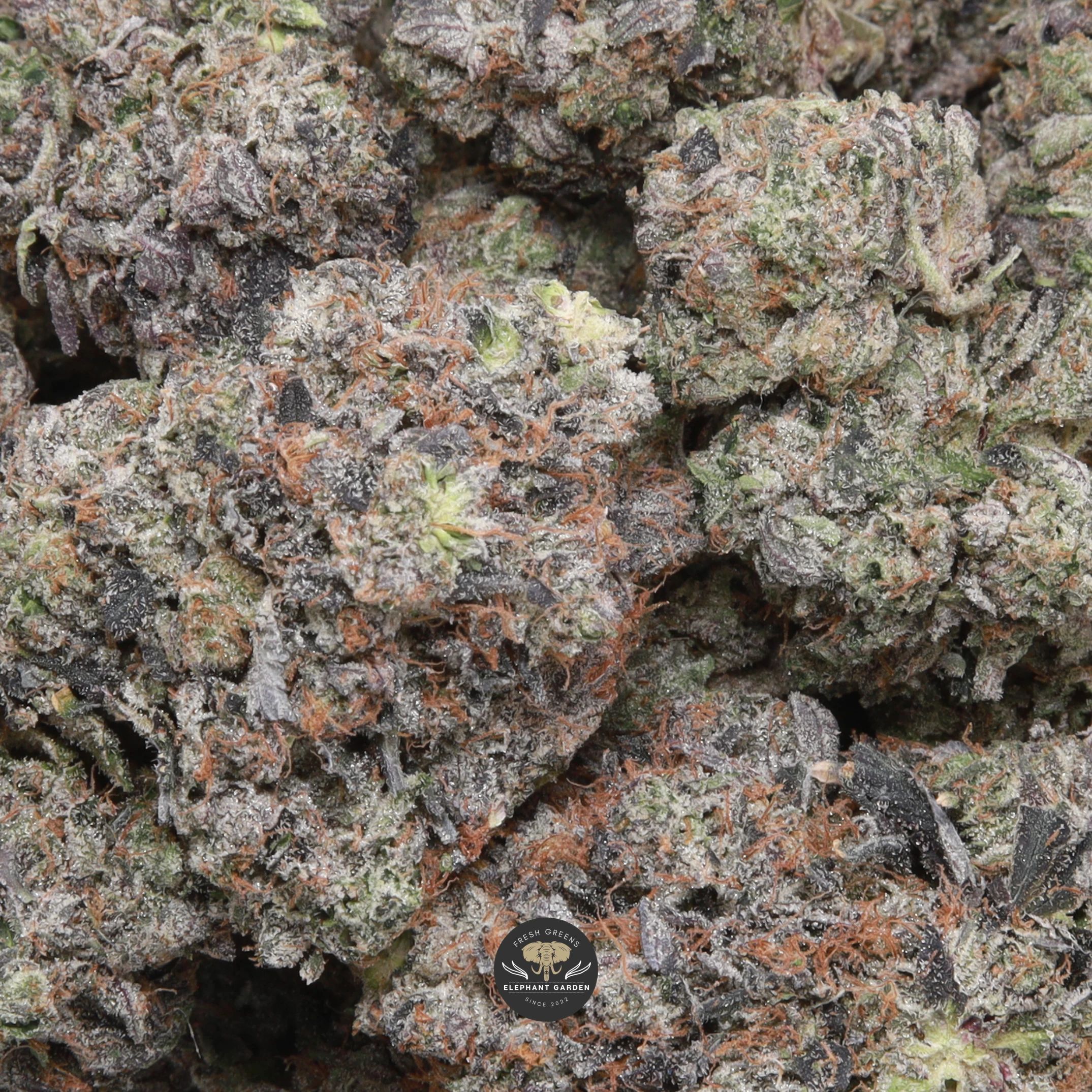 Diablo Death Bubba indica flower, buds close-up gallery image