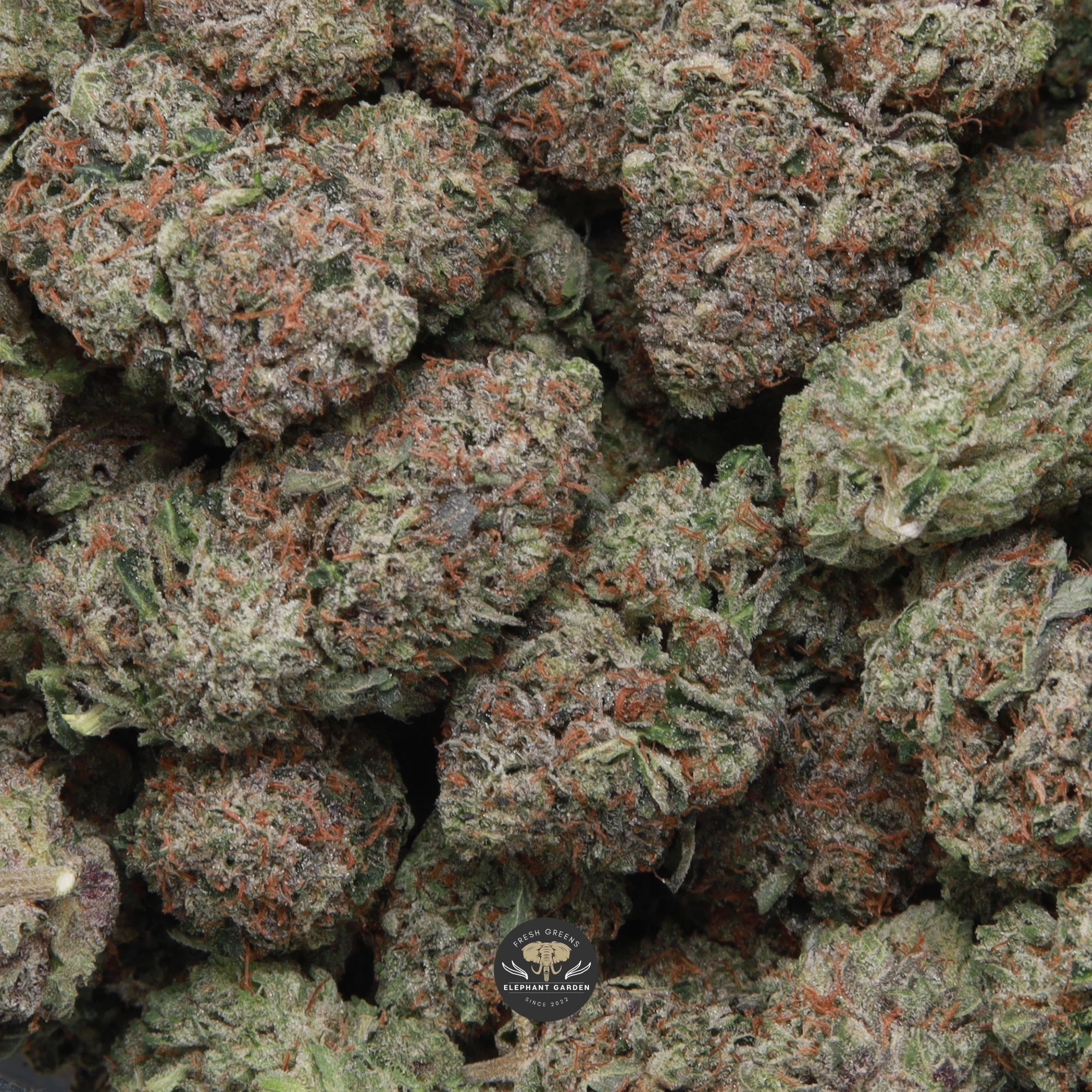 OG Octane indica flower, macro shot of buds