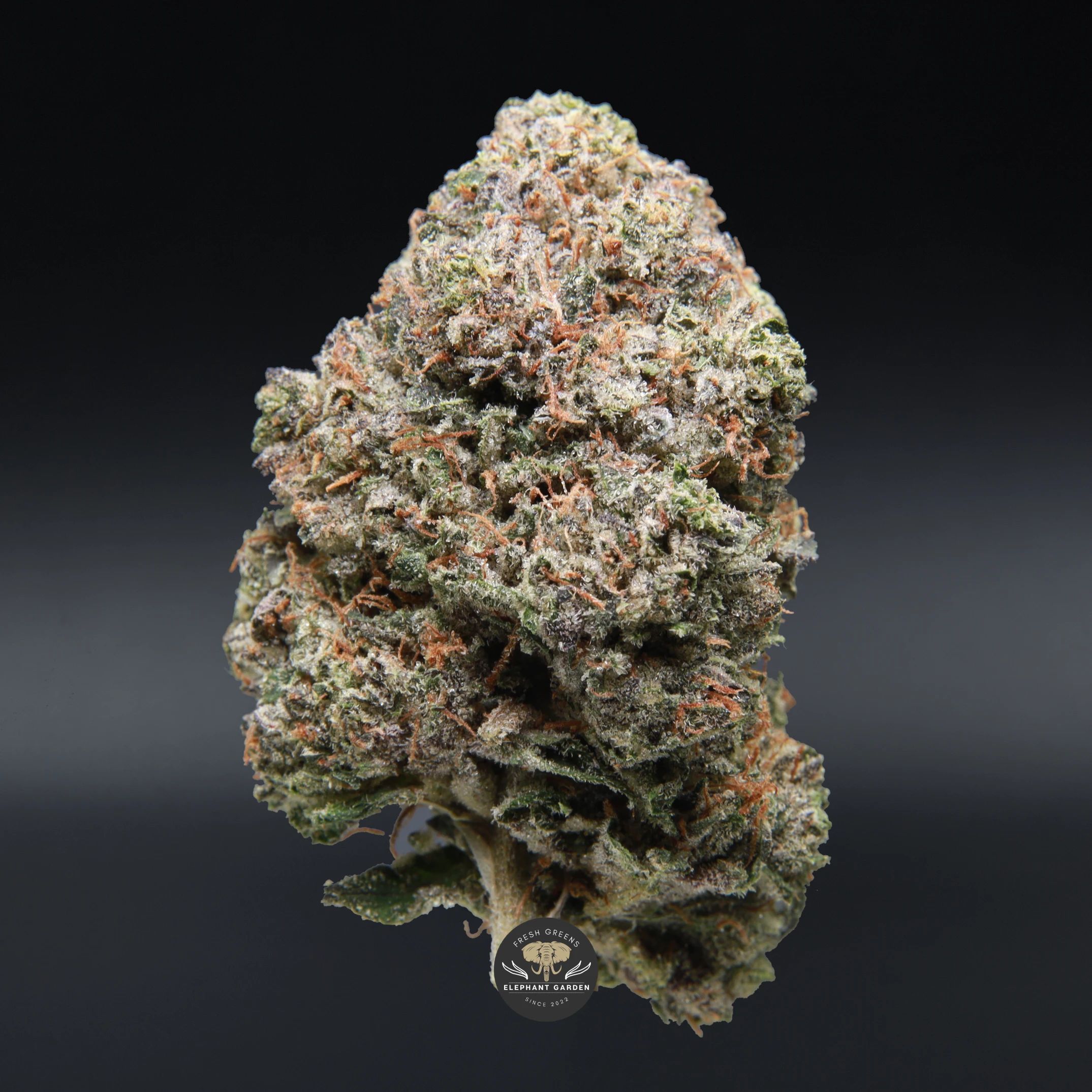 OG Octane indica flower, close-up product photo