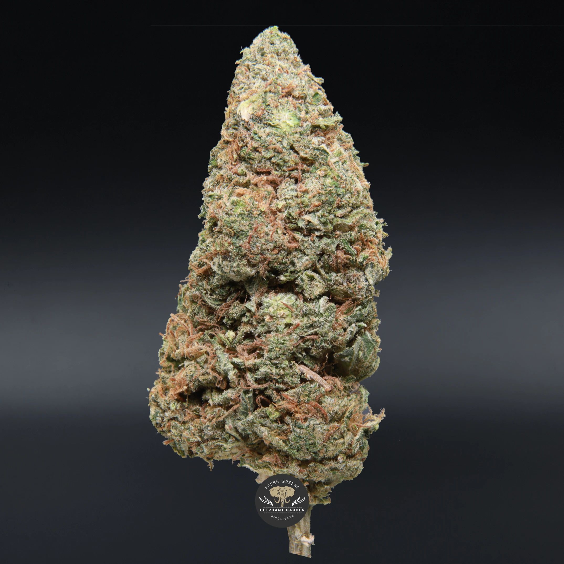 Pineapple OG sativa flower, close-up product photo