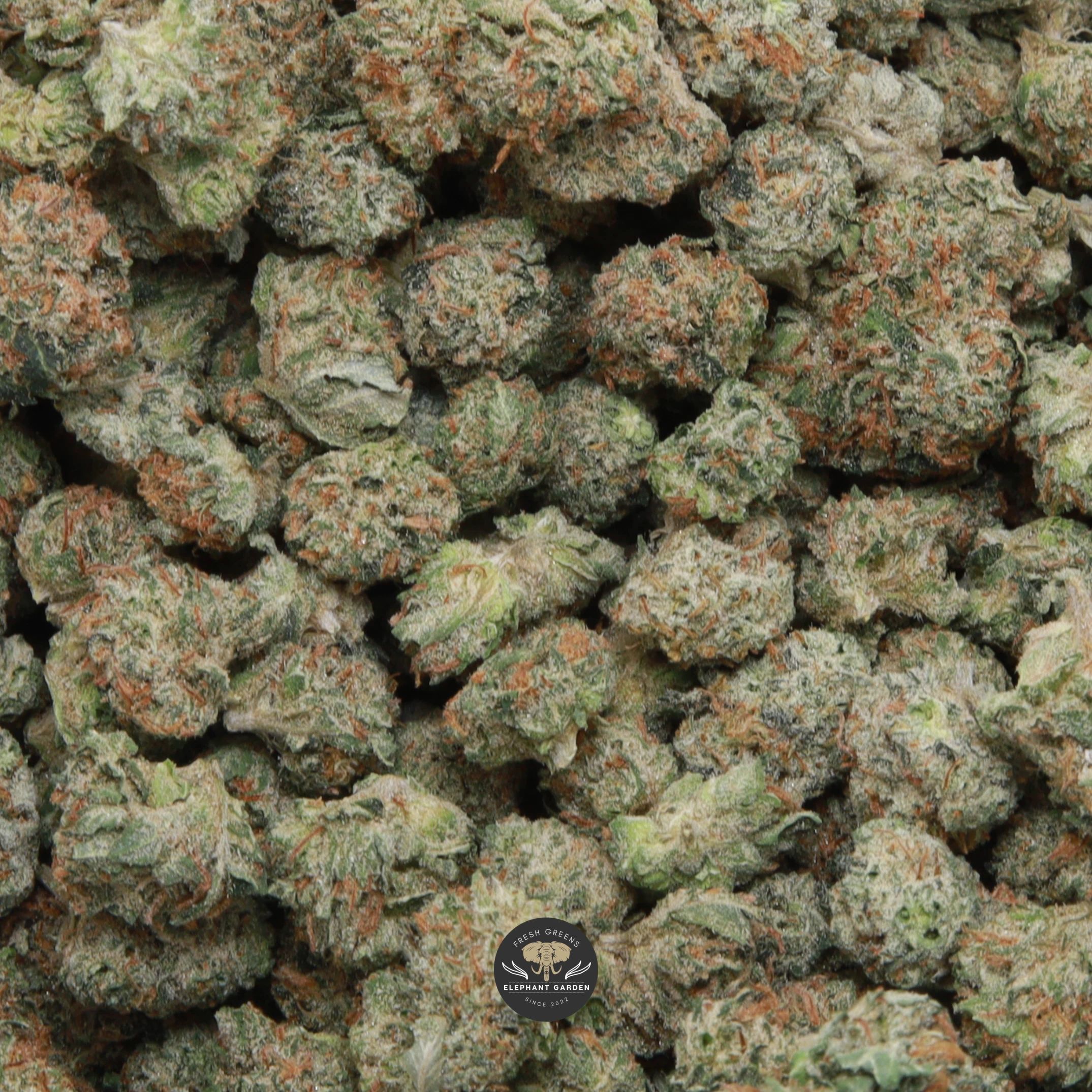 Pink Kush Popcorn indica popcorn flower, close-up product photo