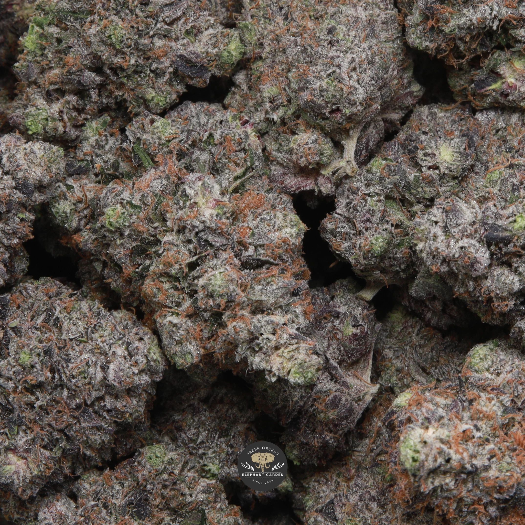Supreme Death Bubba indica flower — frosted buds close-up