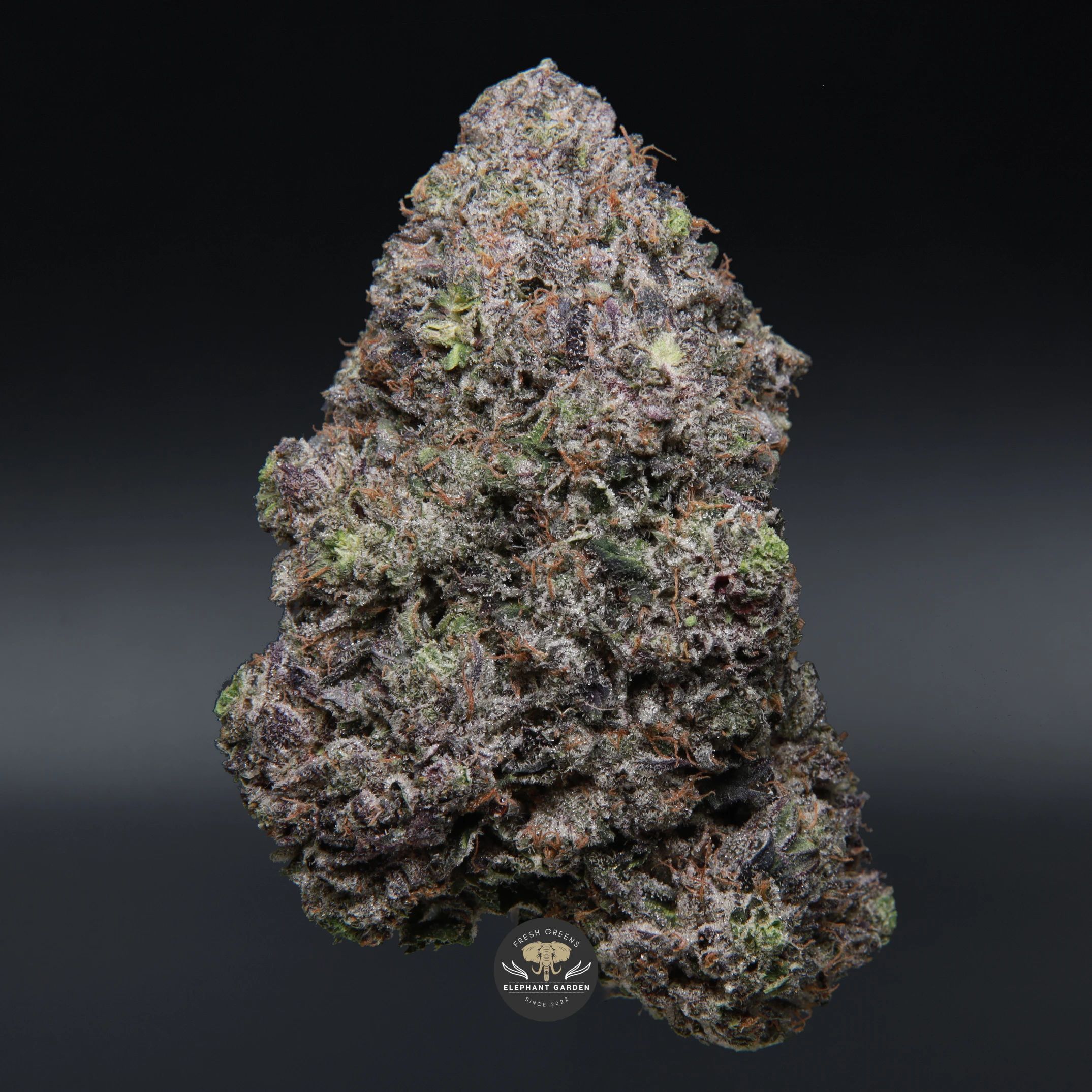 Supreme Death Bubba indica flower — close-up product photo