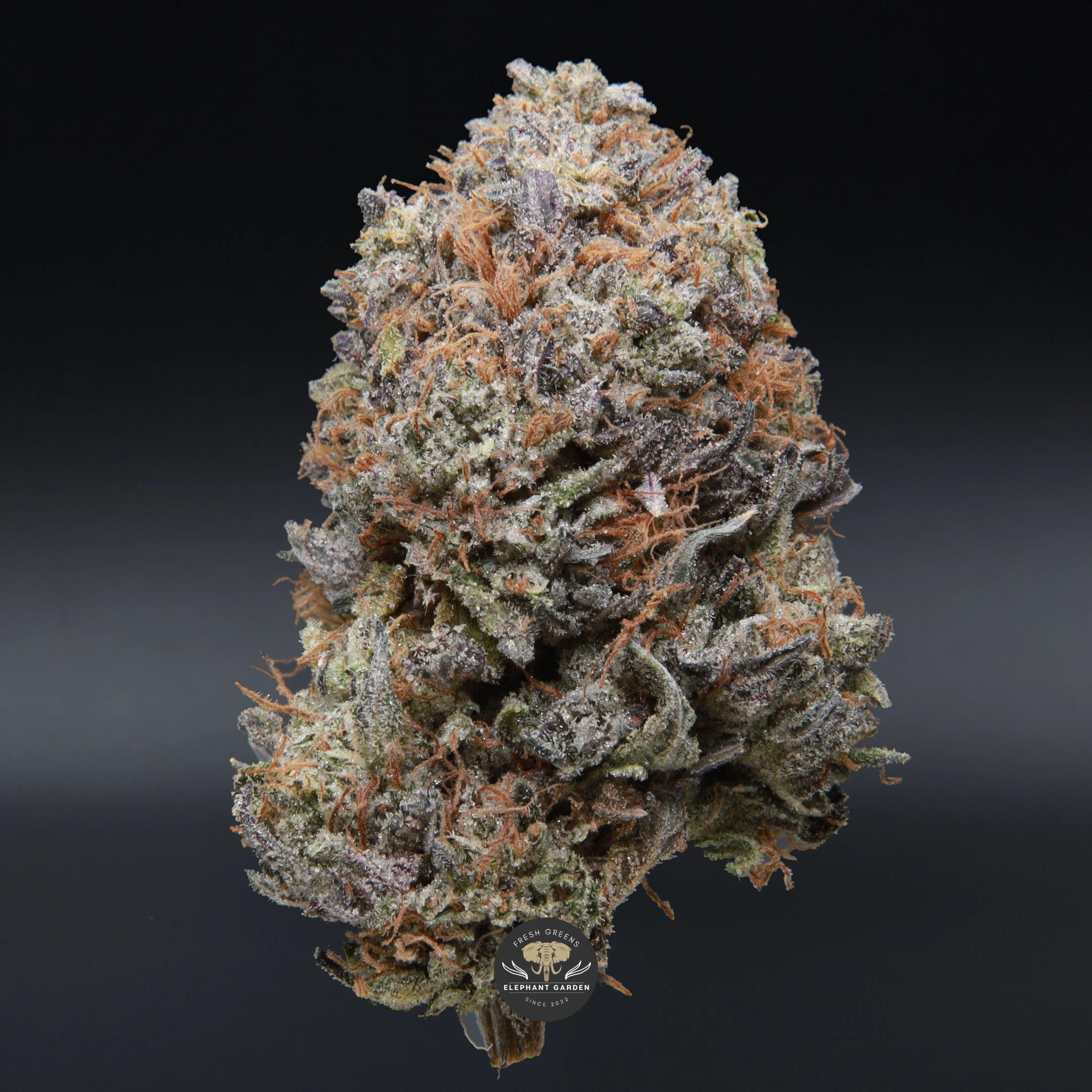 Tom Ford Pink indica flower, product photo