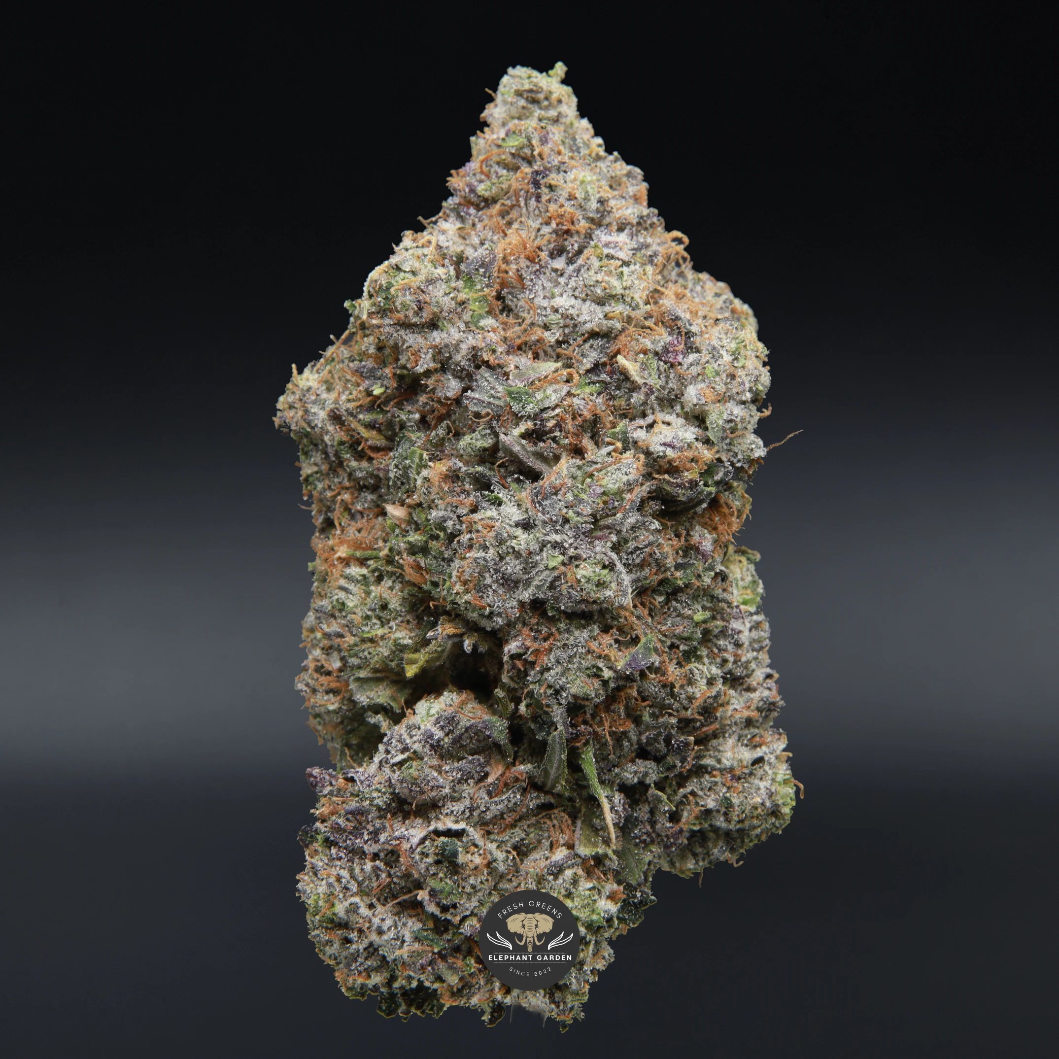 Tyson Pink indica flower, close-up of a dense frosted gas bud