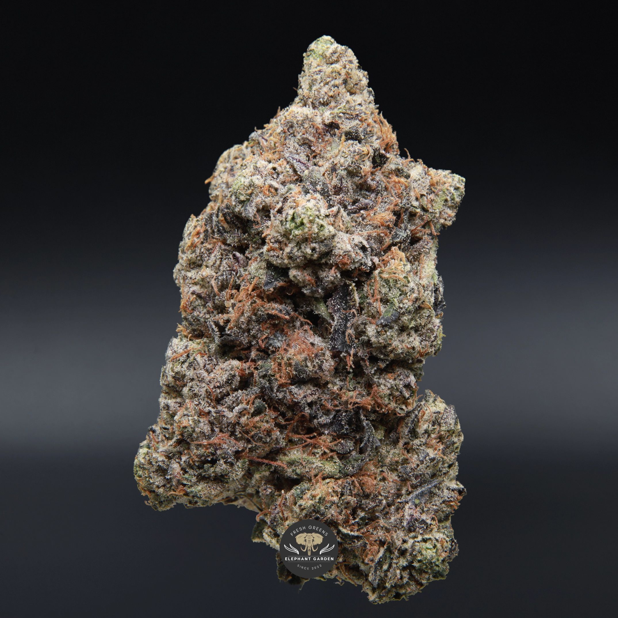 Death Valley AAAA indica flower, close-up product photo of dense frosted buds