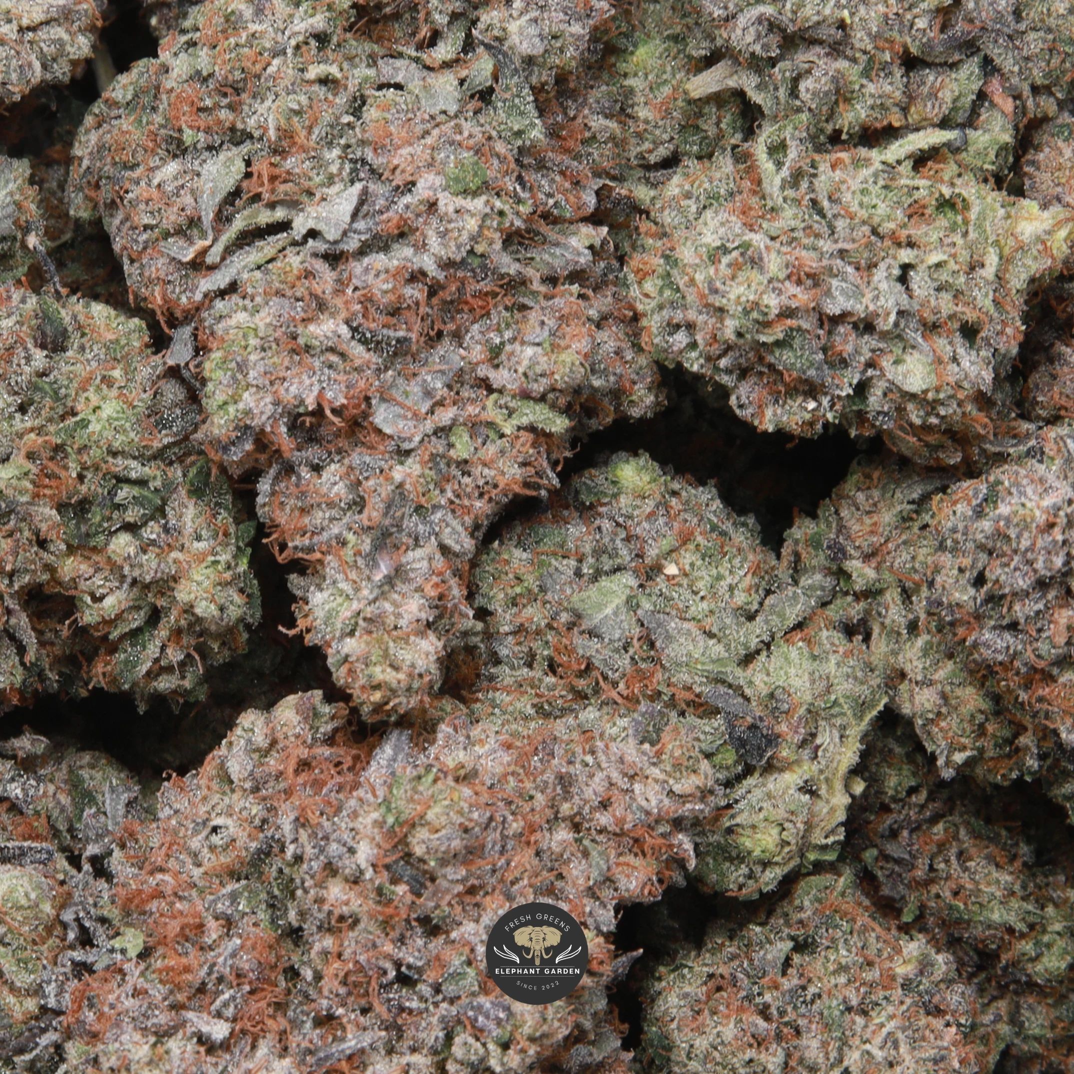 Death Walker AAAA- indica flower: close-up of trichome-frosted buds