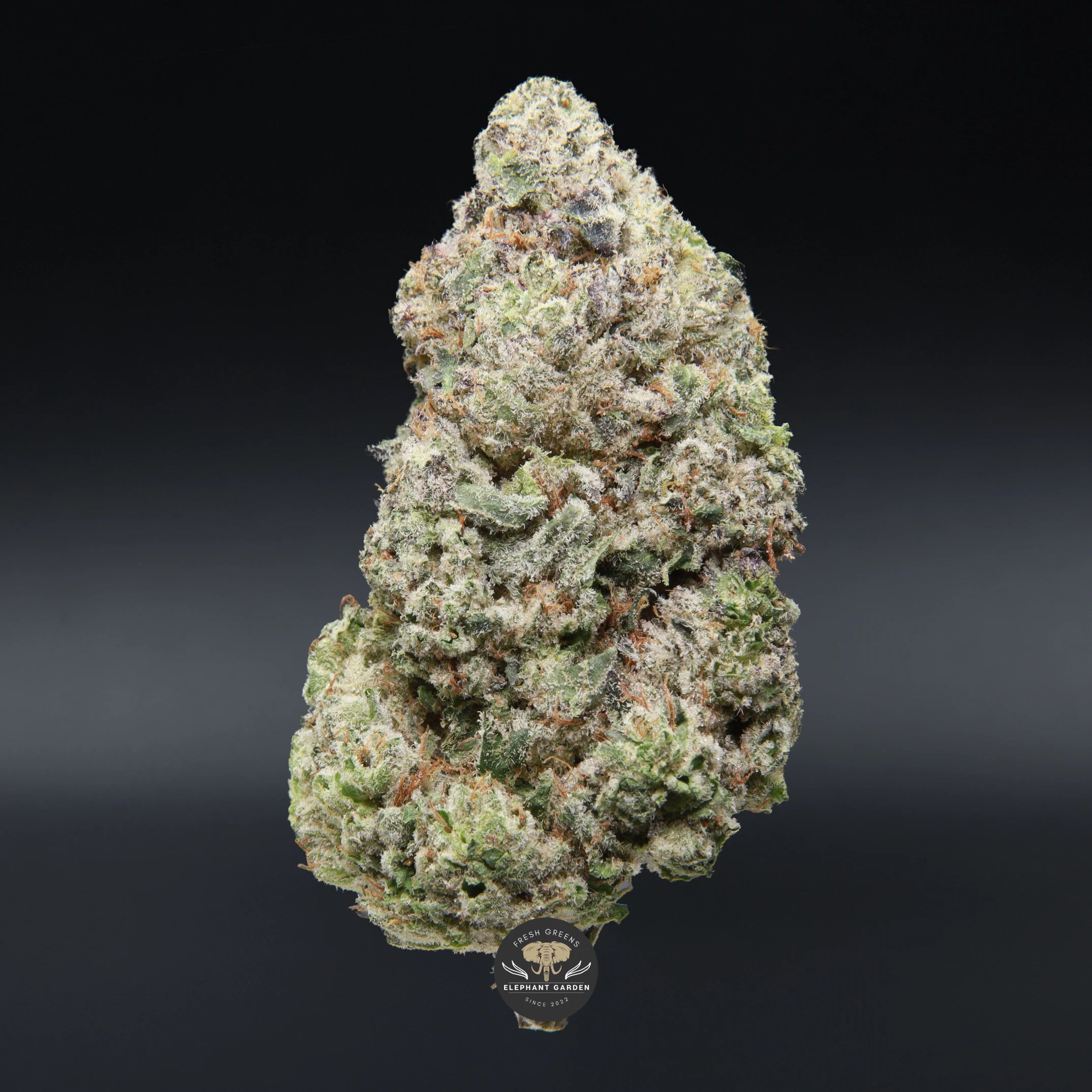 Donkey Butter AAA+ hybrid cannabis flower, close-up product photo of frosty buds