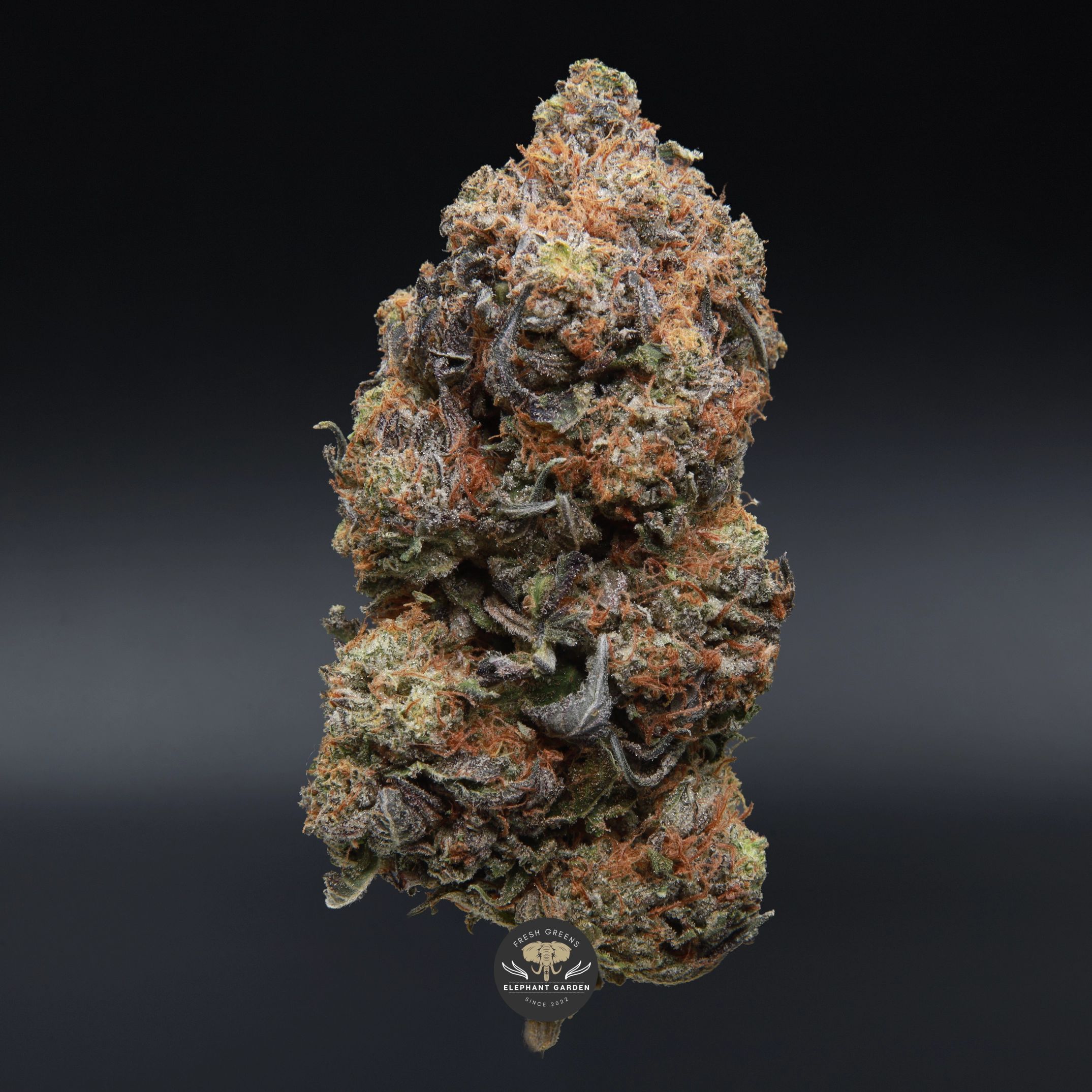 Ghost Bubba