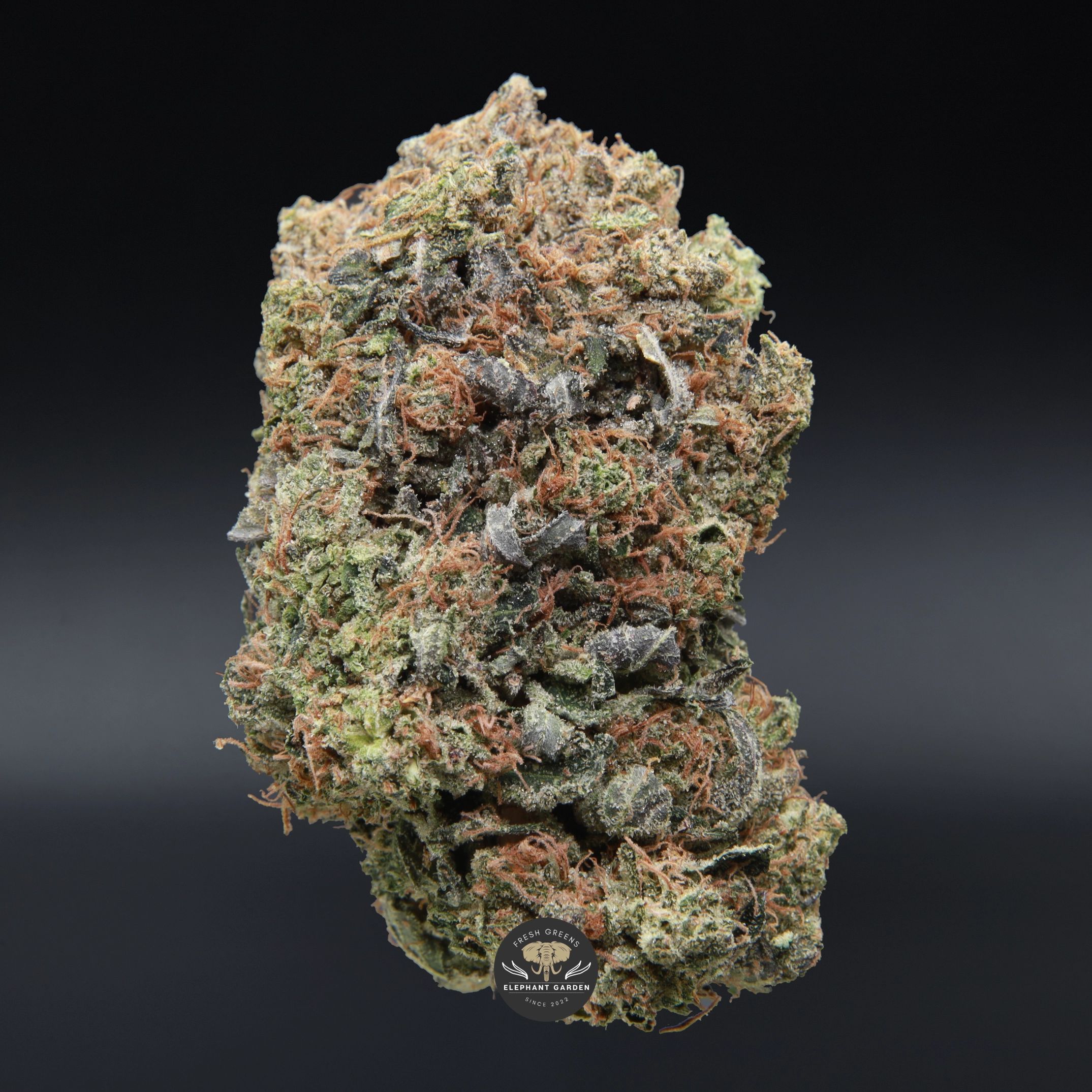 Kings Kush