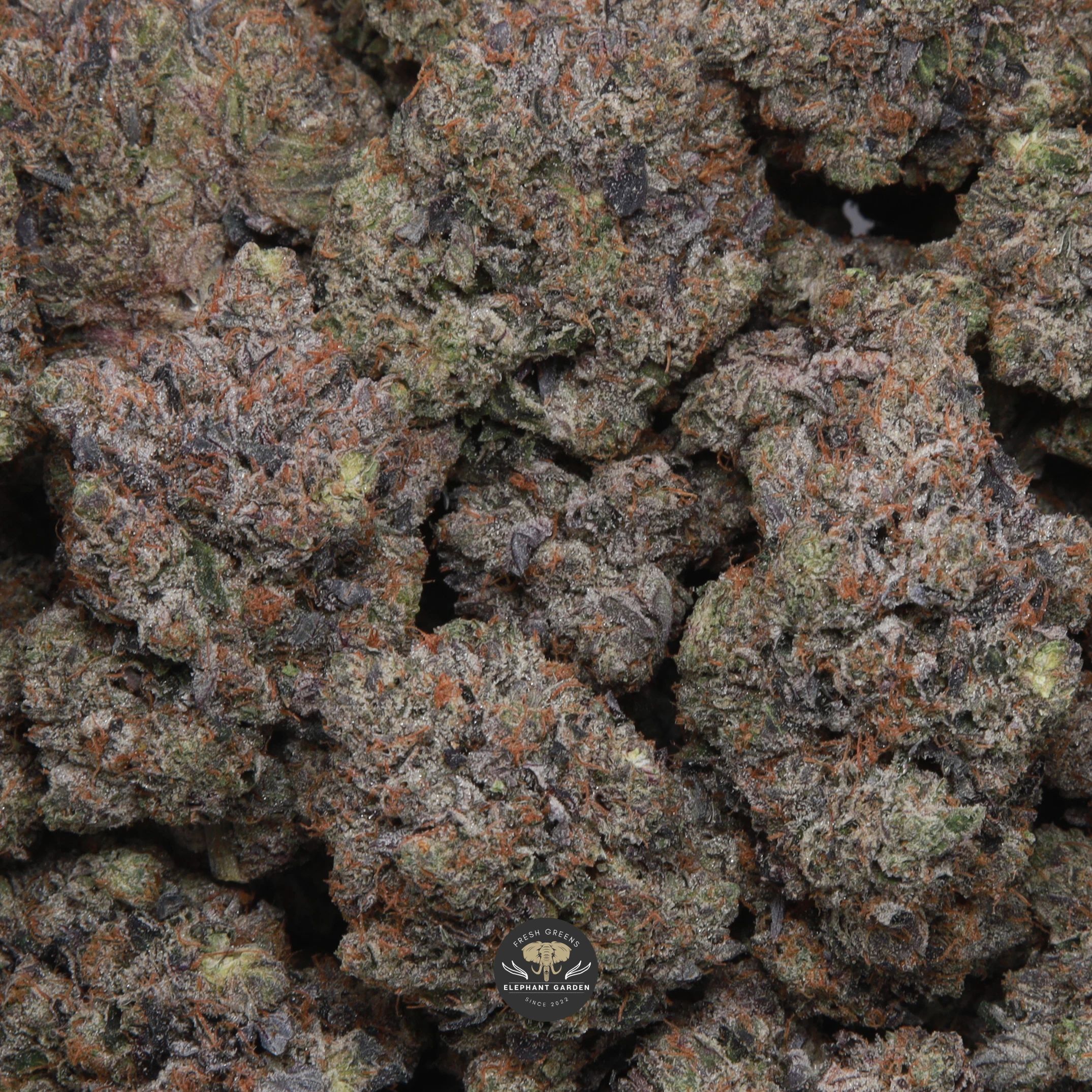 Mike Tyson indica flower, macro shot of trichome-coated buds
