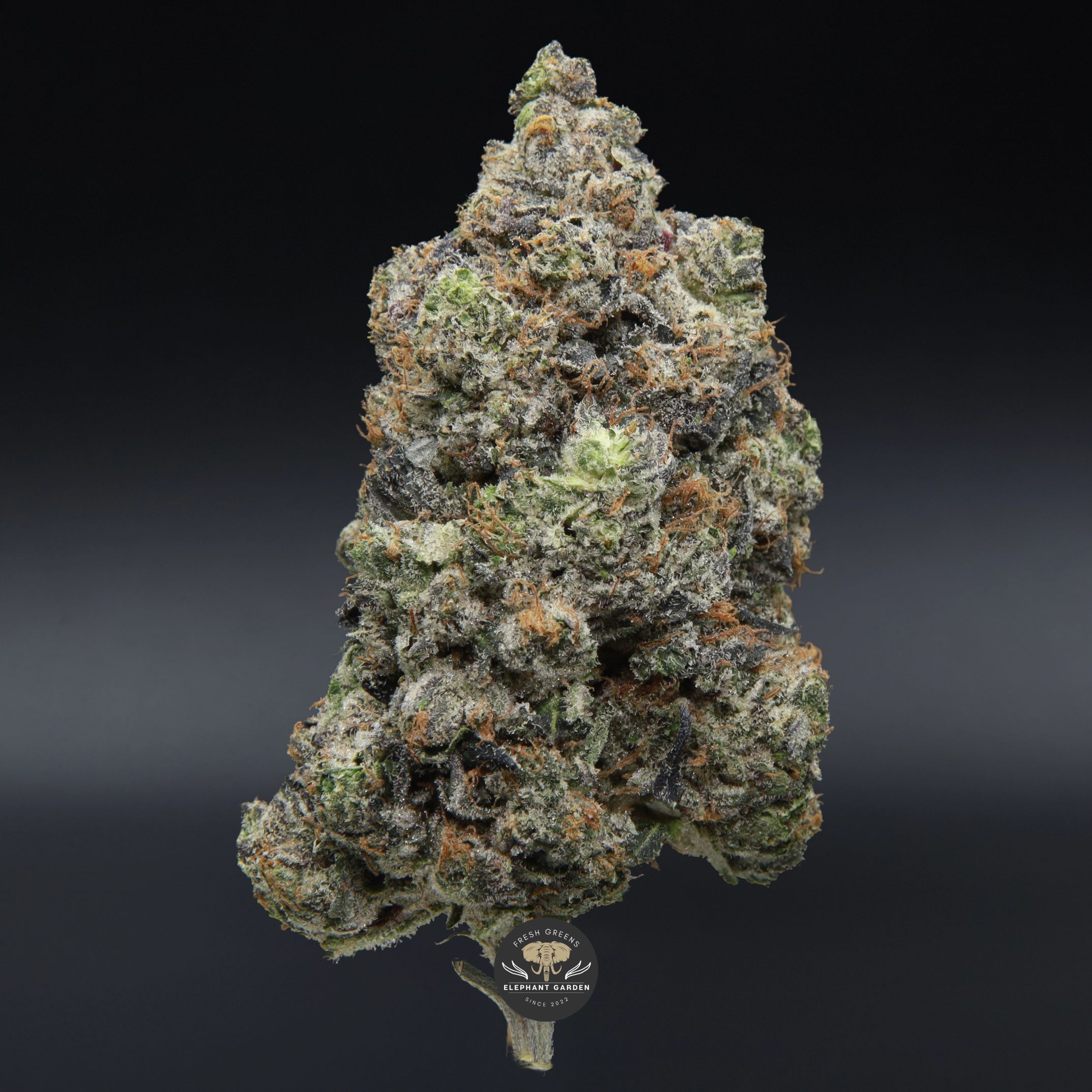 Pink Death Star
