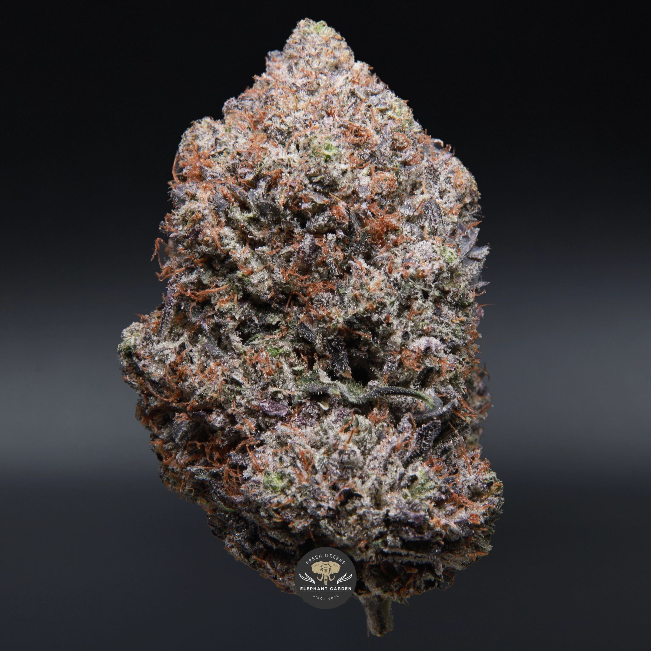 91 Octane indica flower, close-up of dense frosted buds