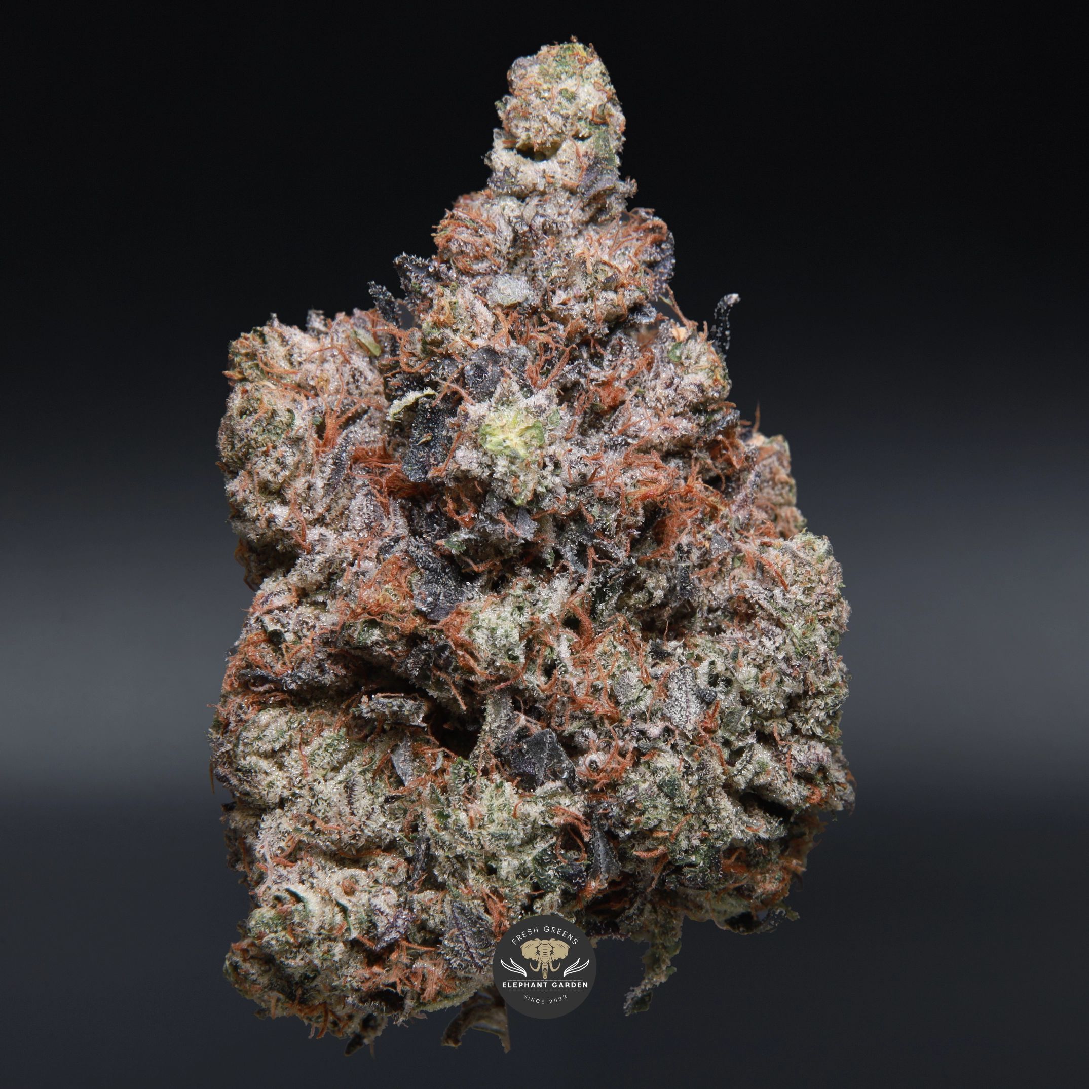 Death Walker indica flower, close-up of olive-green bud with amber pistils and crystal trichomes