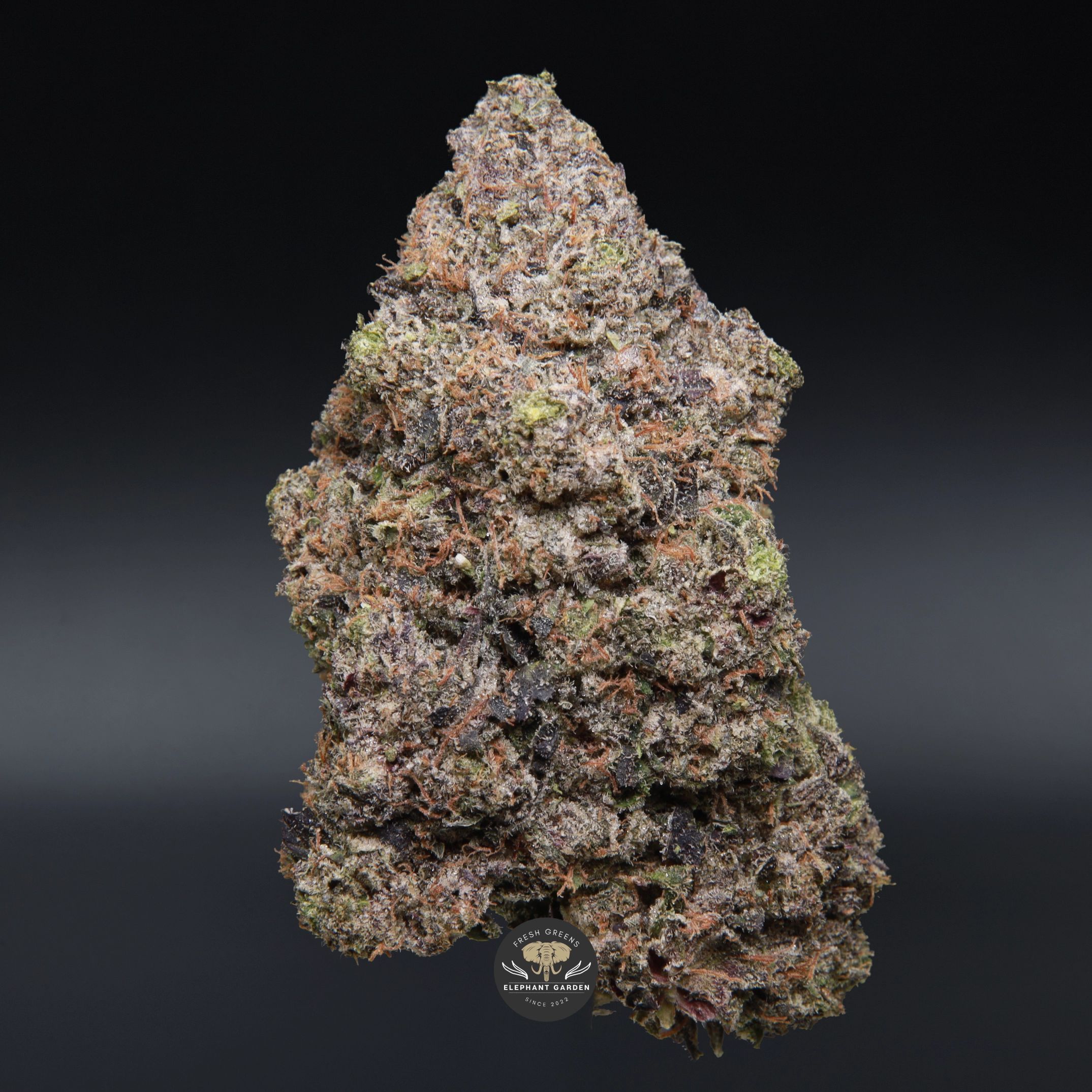 El Chapo indica flower close-up product photo of dense frosted buds