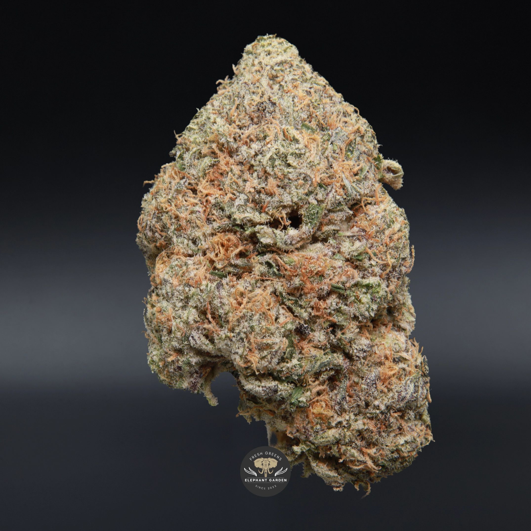 Frosted Donuts AAA+ hybrid cannabis flower: close-up of frosted, trichome-coated buds