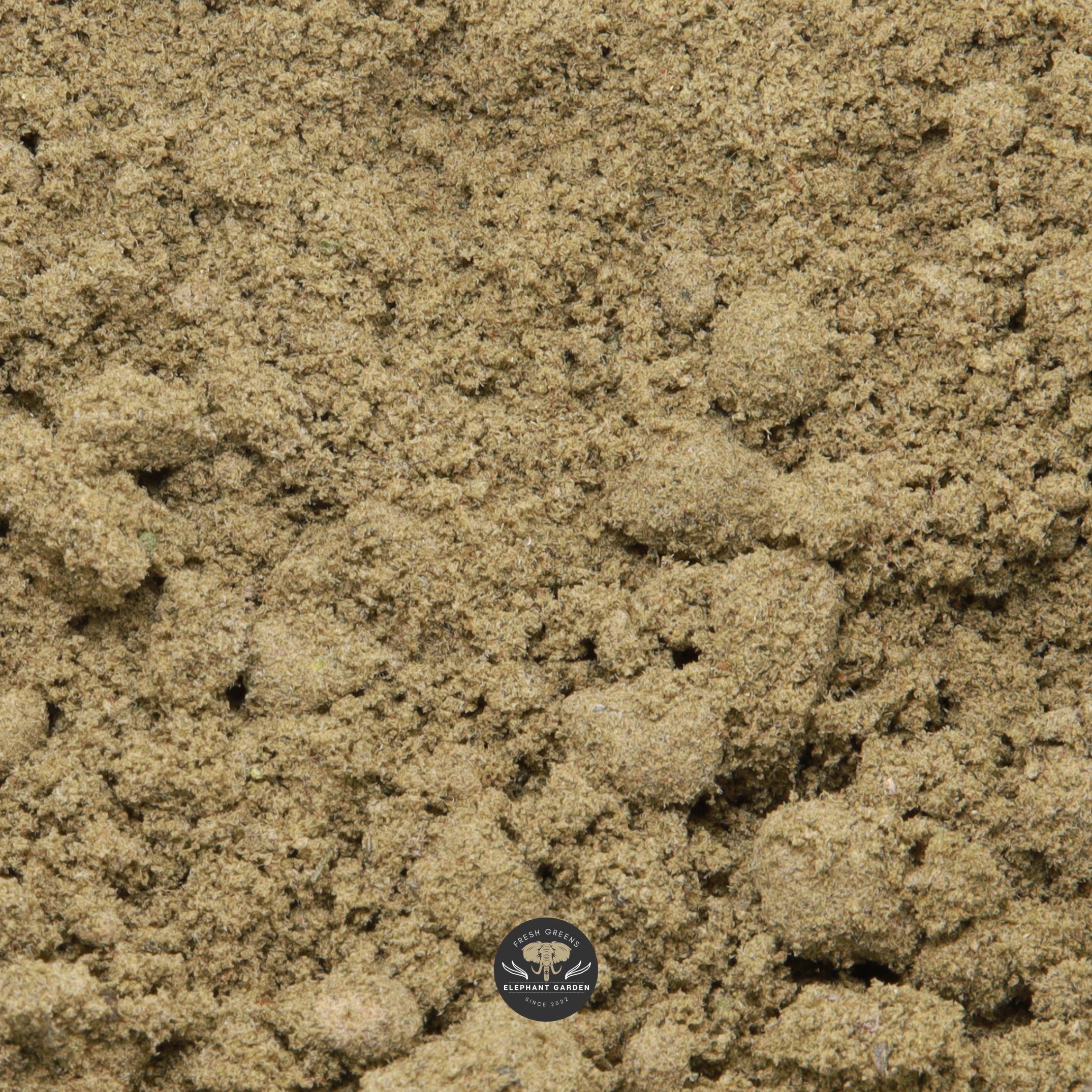 Grape Ape Kief indica dry-sift concentrate - close-up of pale tan sifted trichome powder