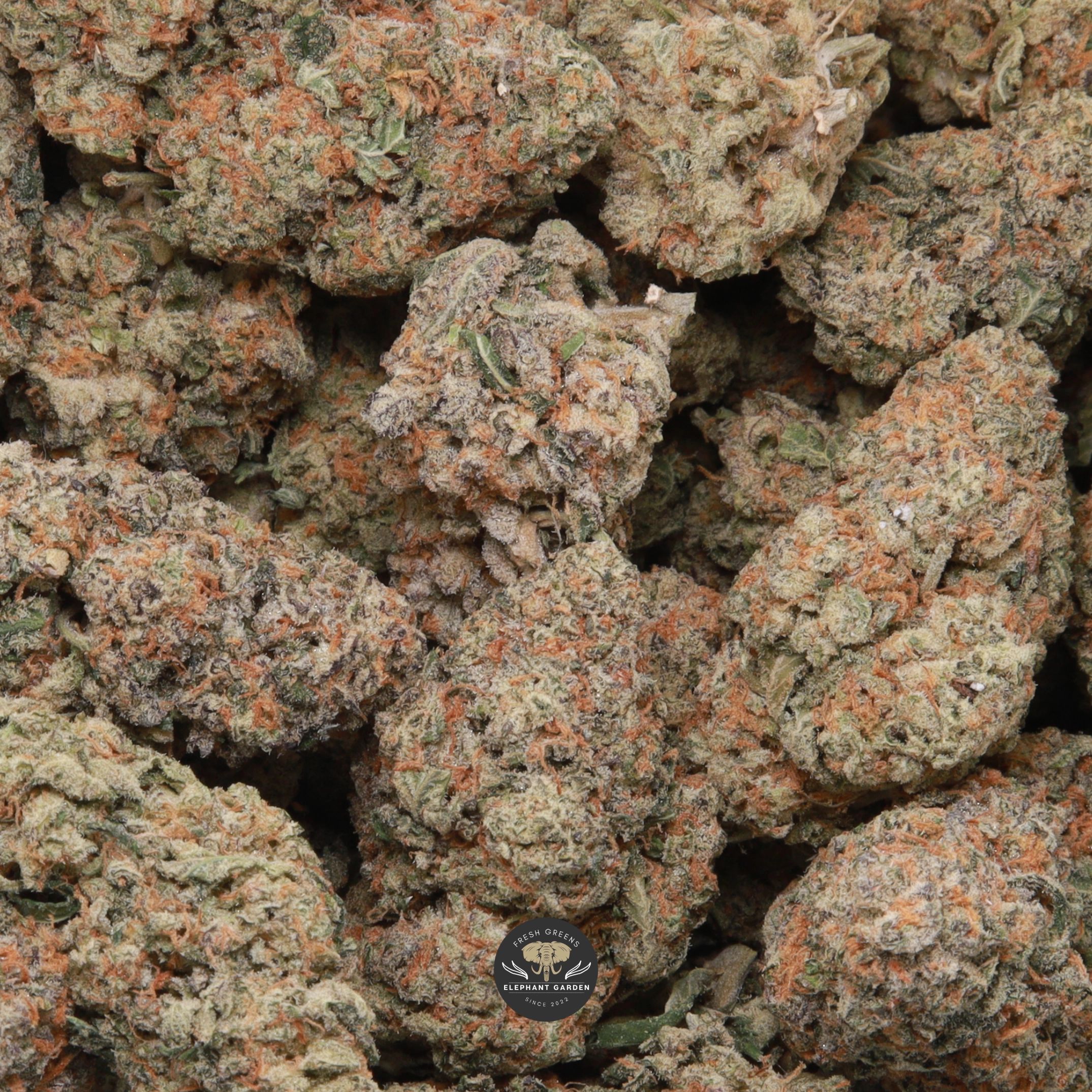 Kush Mints AAA+ hybrid flower buds, gallery image 1