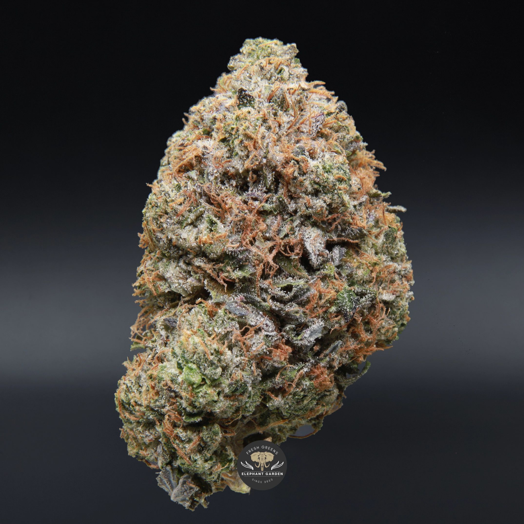 Pink Gas AAA+ indica flower, close-up product photo of frosted pink-purple buds