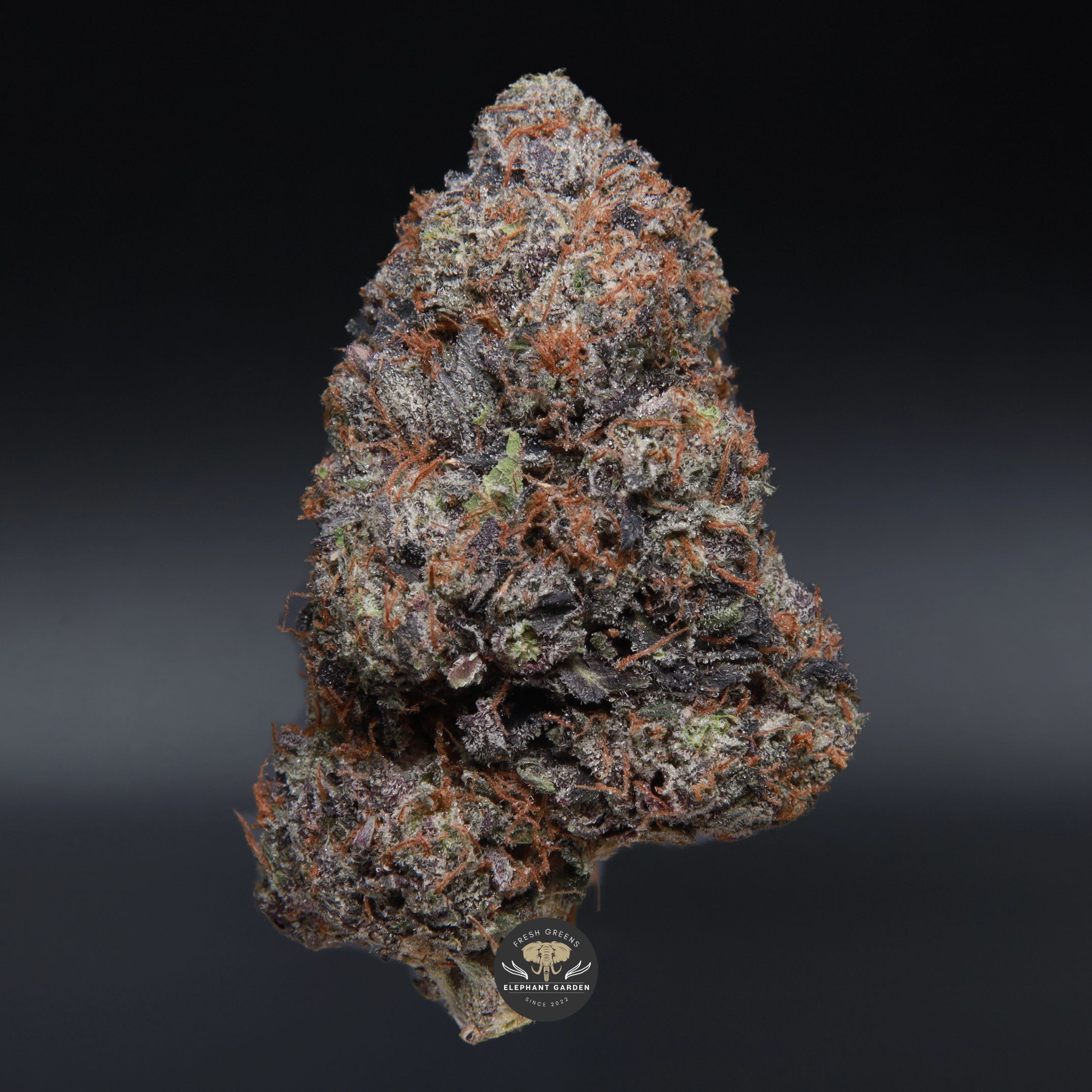 Death Ultra AAAA indica flower, close-up product photo