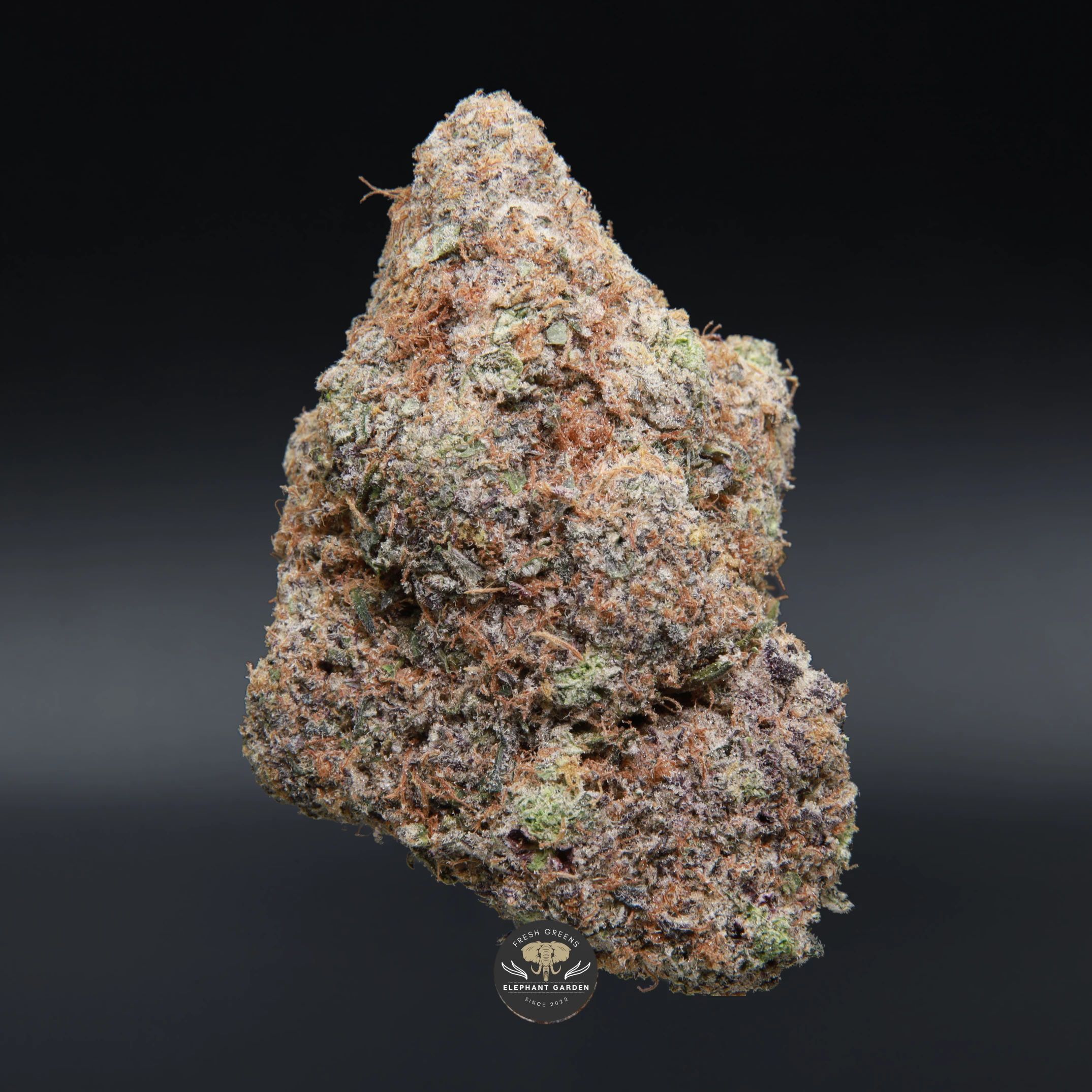 Fruit Rollupz hybrid flower, close-up product photo