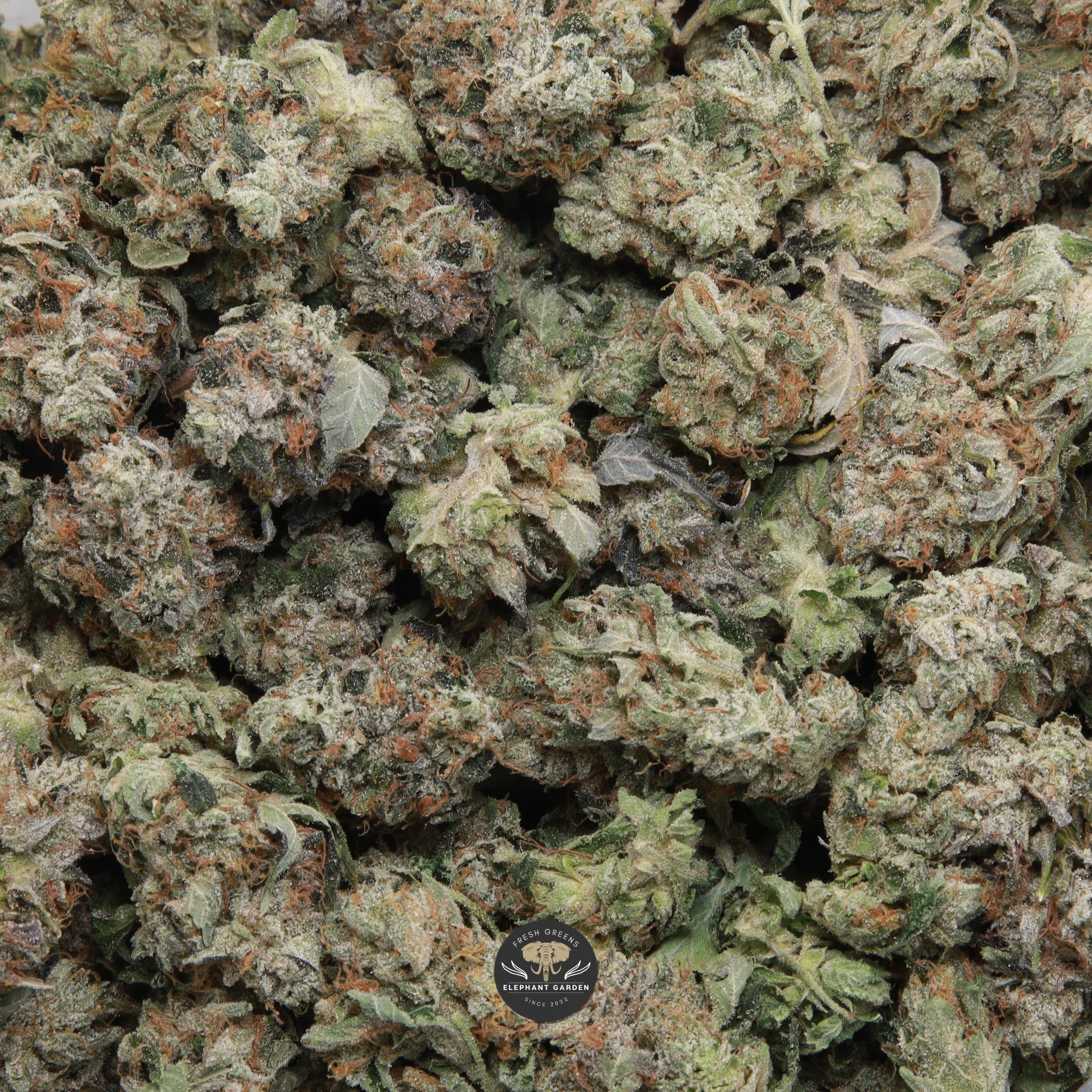 High Octane OG Large Popcorn