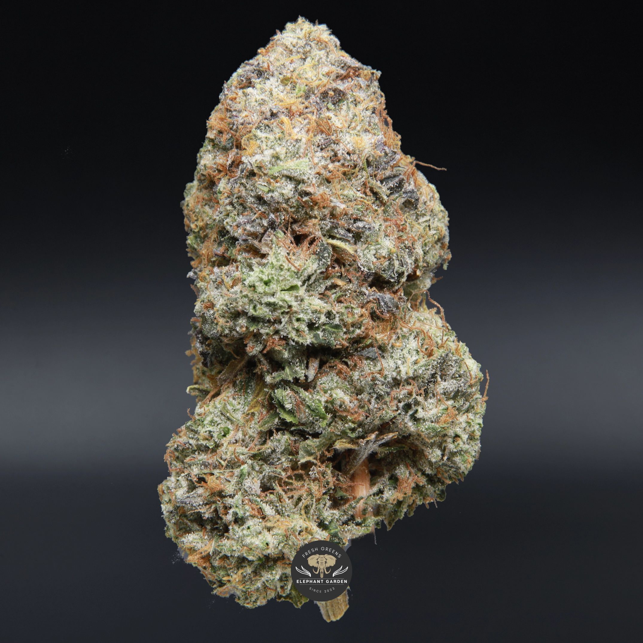 Island Pink Kush indica flower, close-up product photo