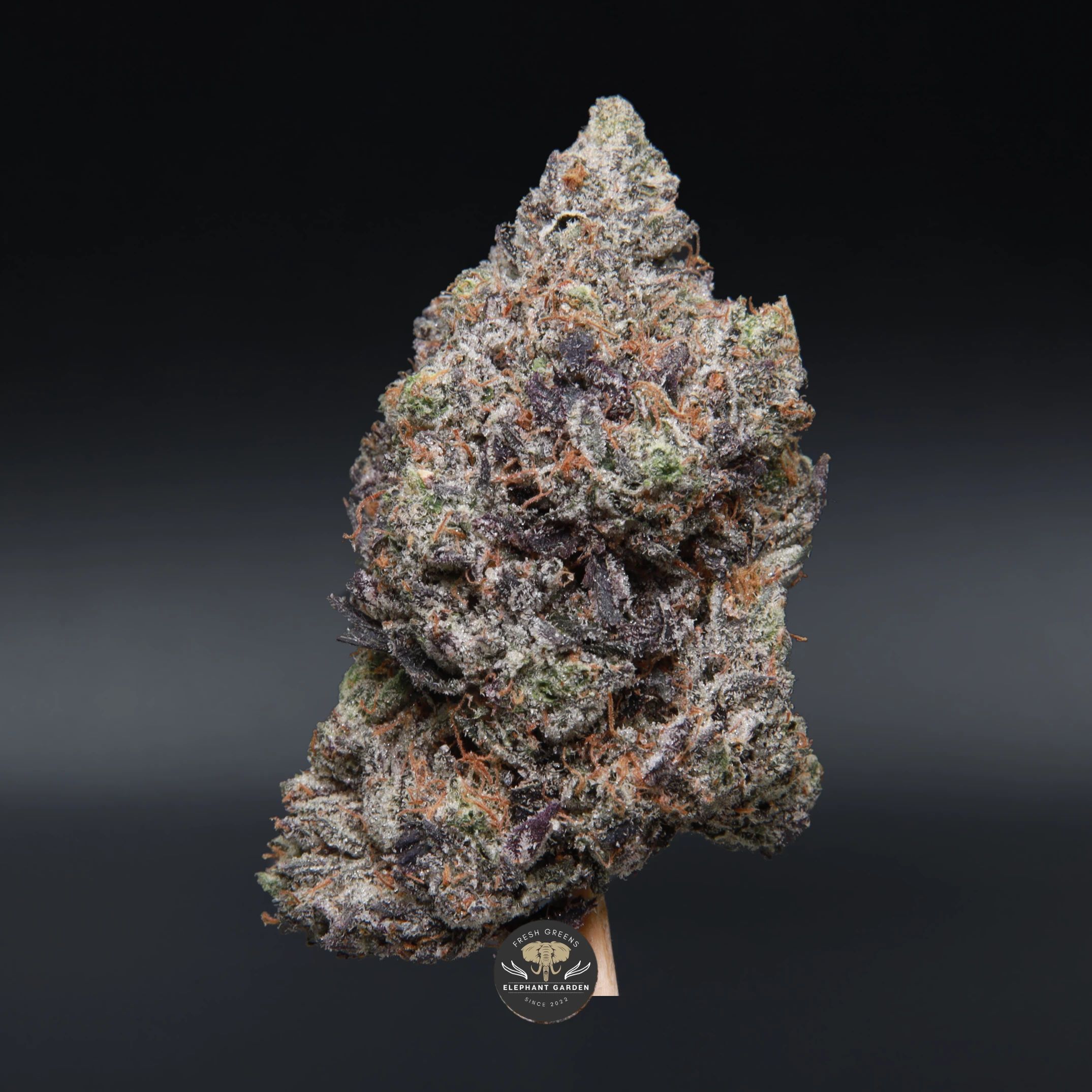 LSO Pink Gasoline indica flower, AAAA product photo