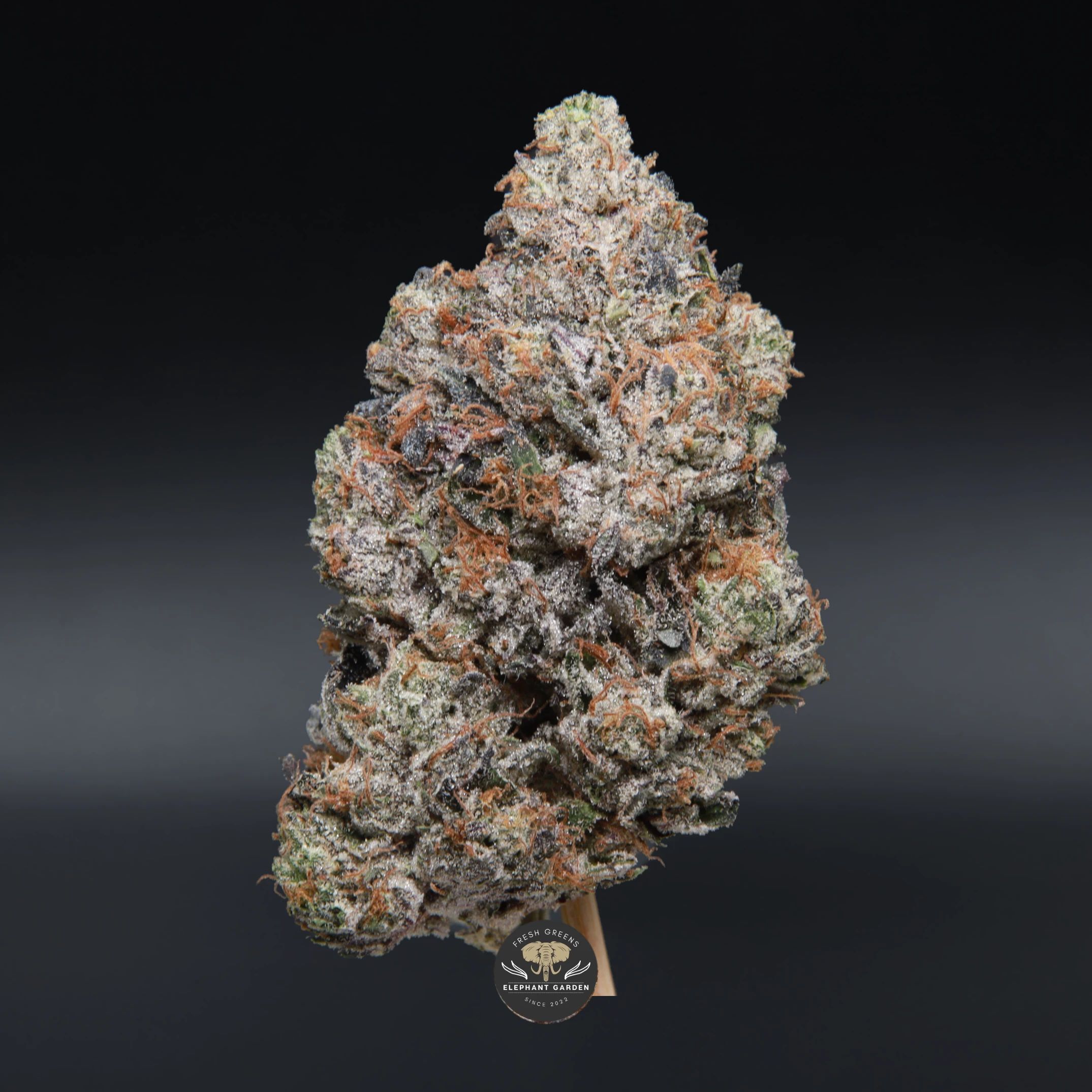 Pinkman Goo indica flower, close-up product photo