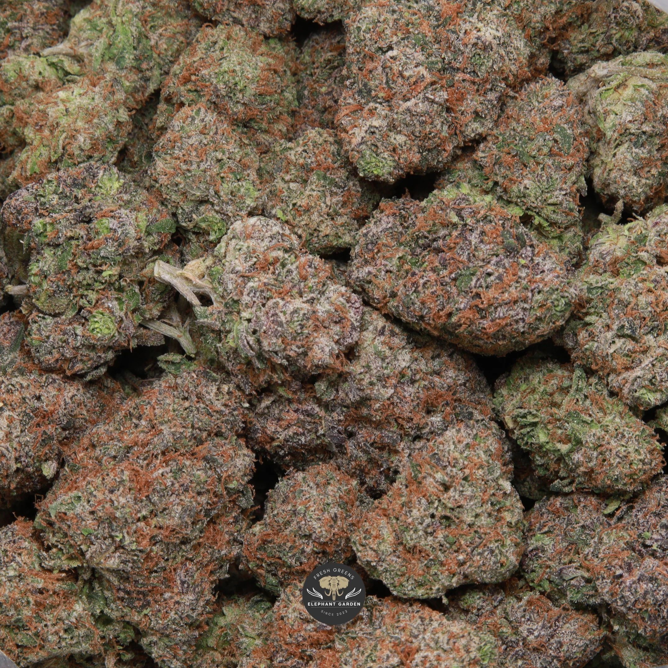 Triangle Kush indica flower: gallery image of frosted buds