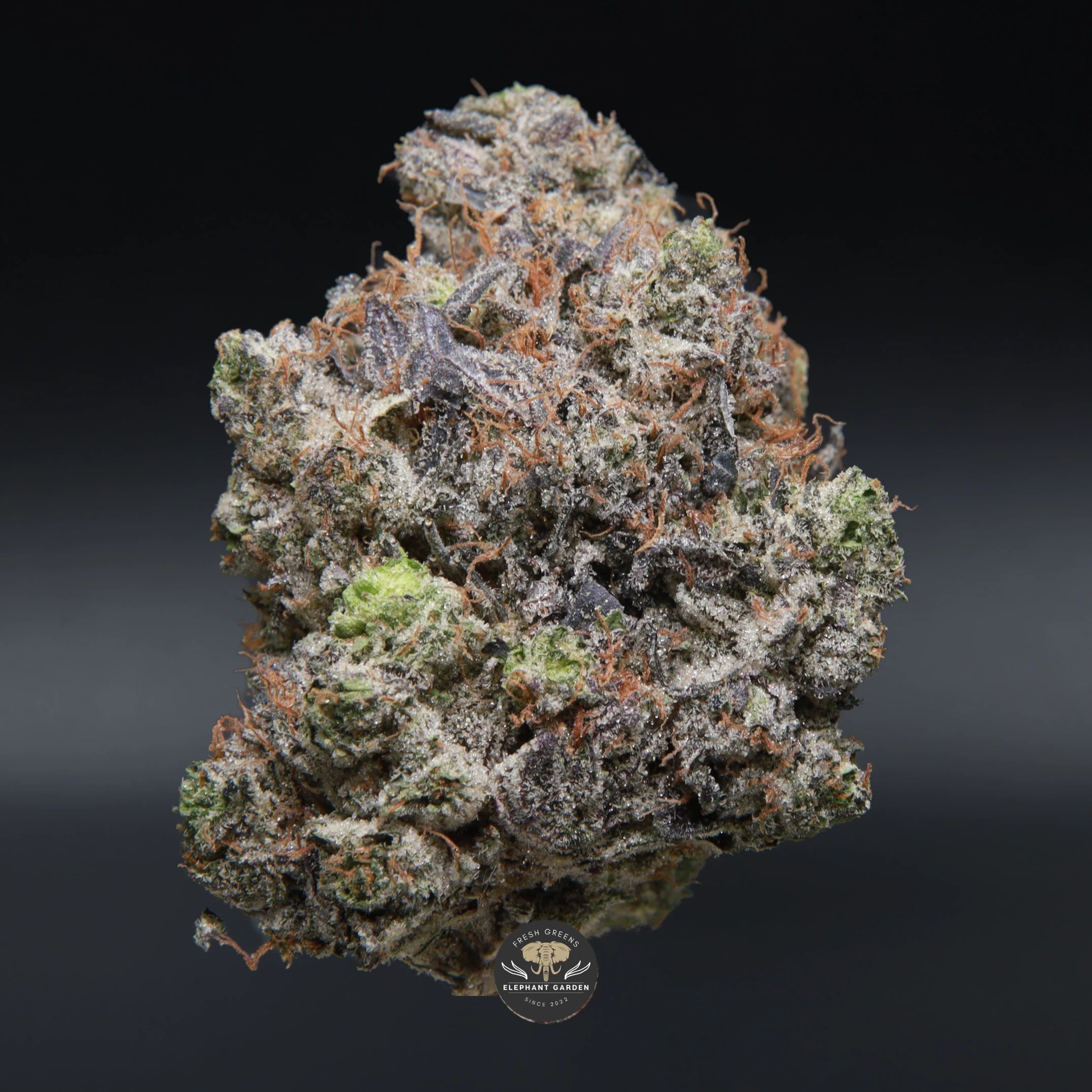 Tyson Pink indica flower, close-up product photo