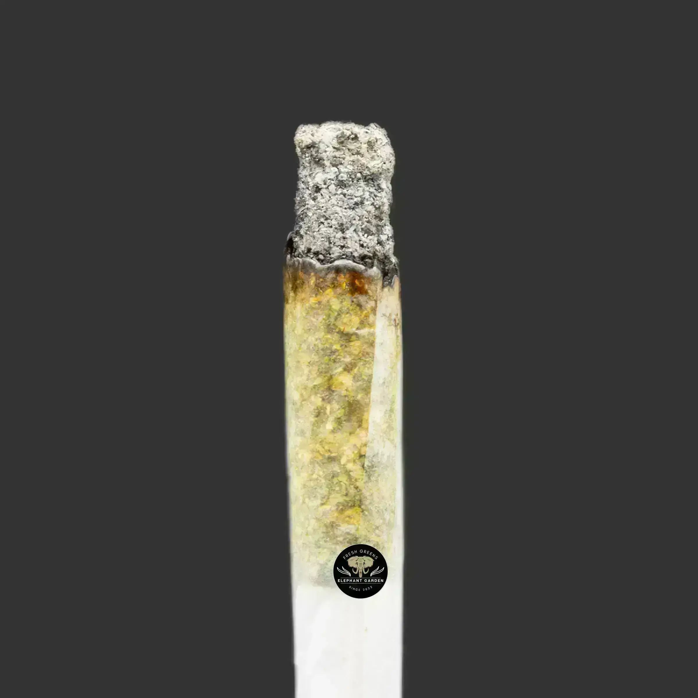 Buy JackFruit at Elephant Garden Co Weed Dispensary Burn Test 9.20.2023 2