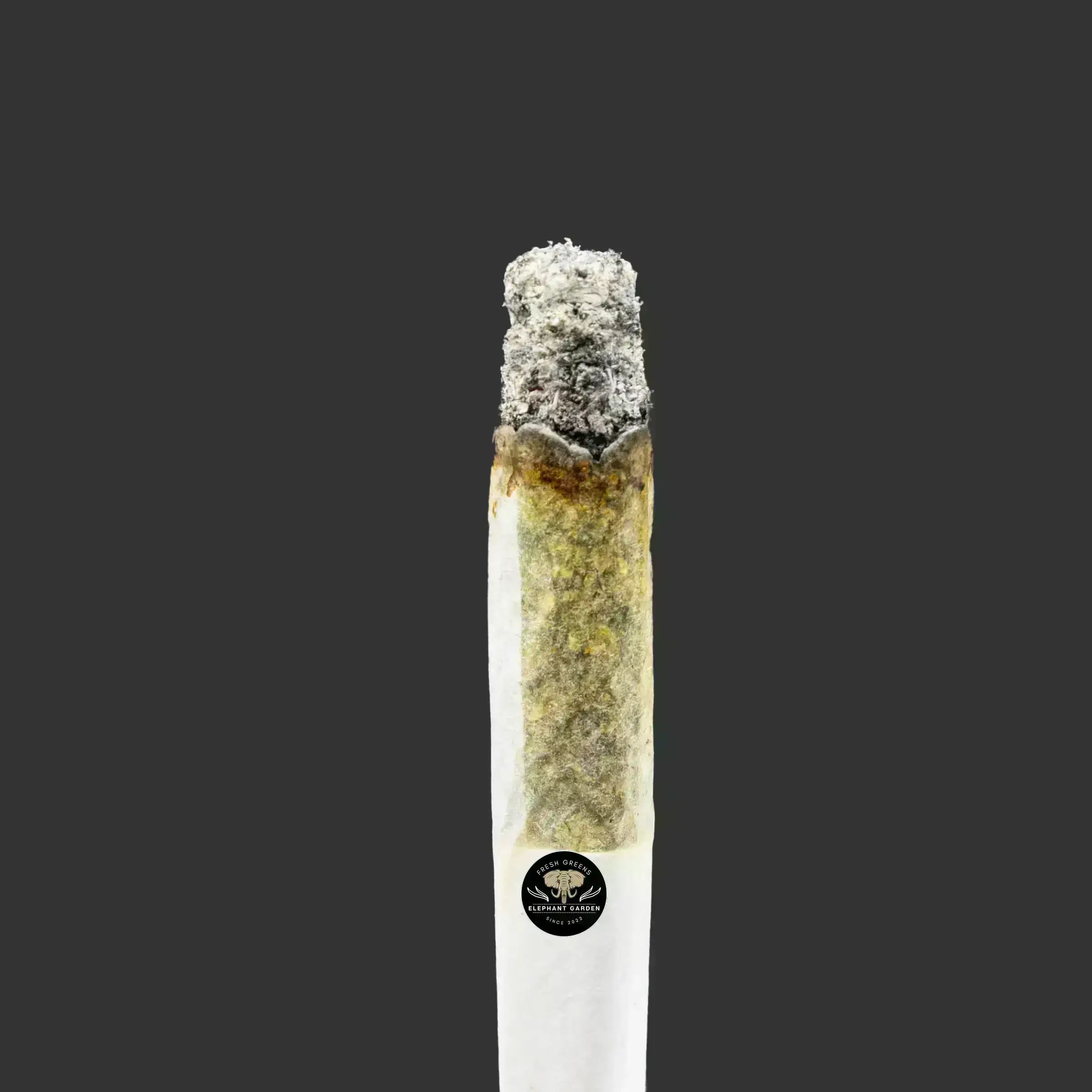 Buy Space Queen at Elephant Garden Co Weed Dispensary Burn Test 10_12_2023 2