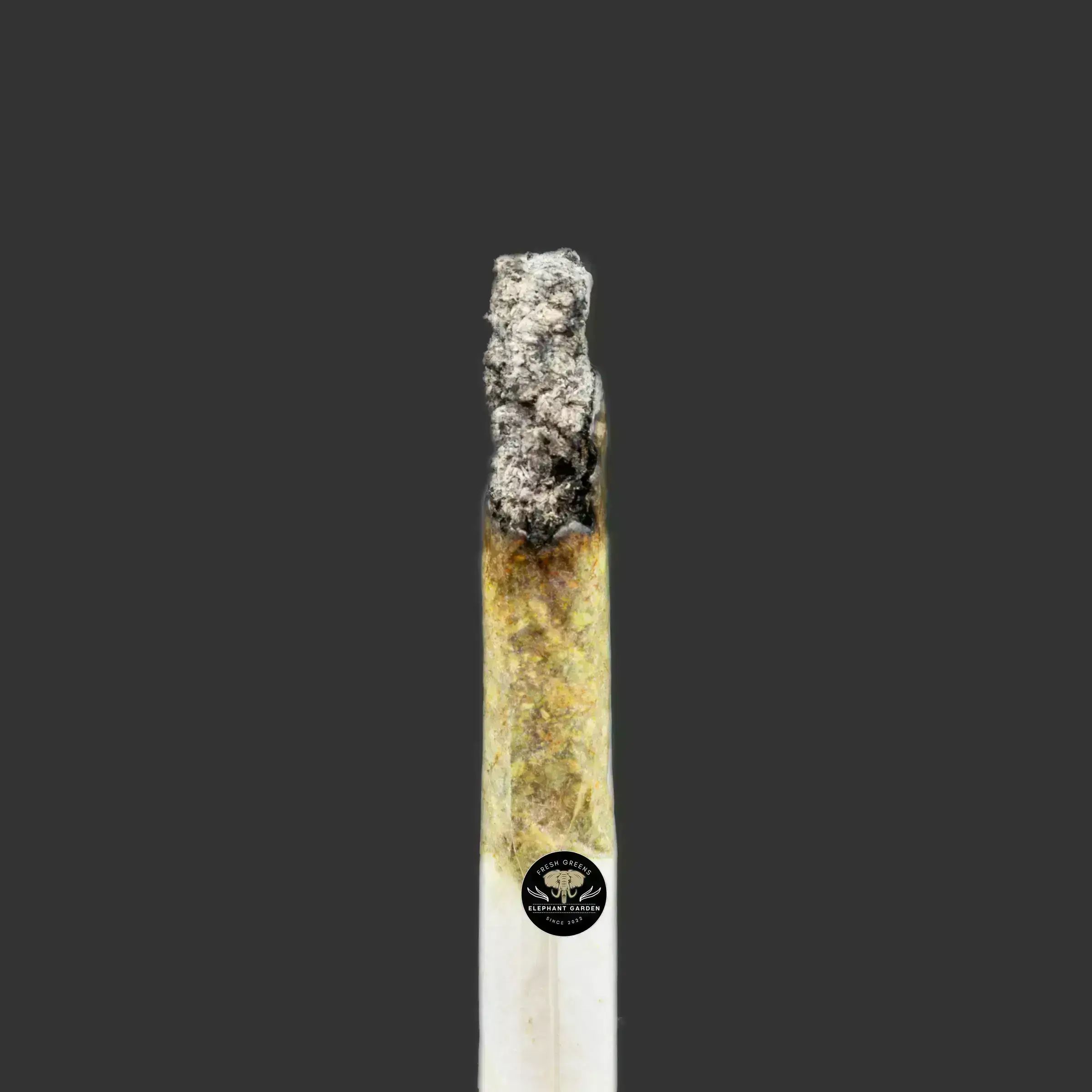 Buy White Dawg at Elephant Garden Co Weed Dispensary Burn Test 10_10_2023 2