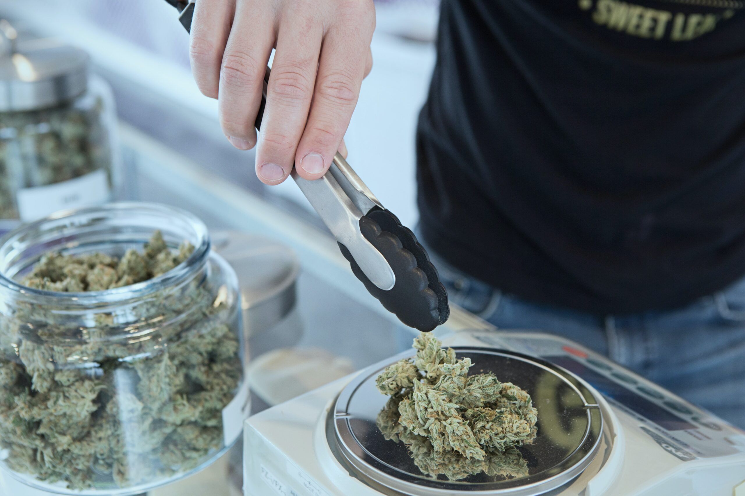 Storing Cannabis Informational At Elephant Garden Co Weed Dispensary