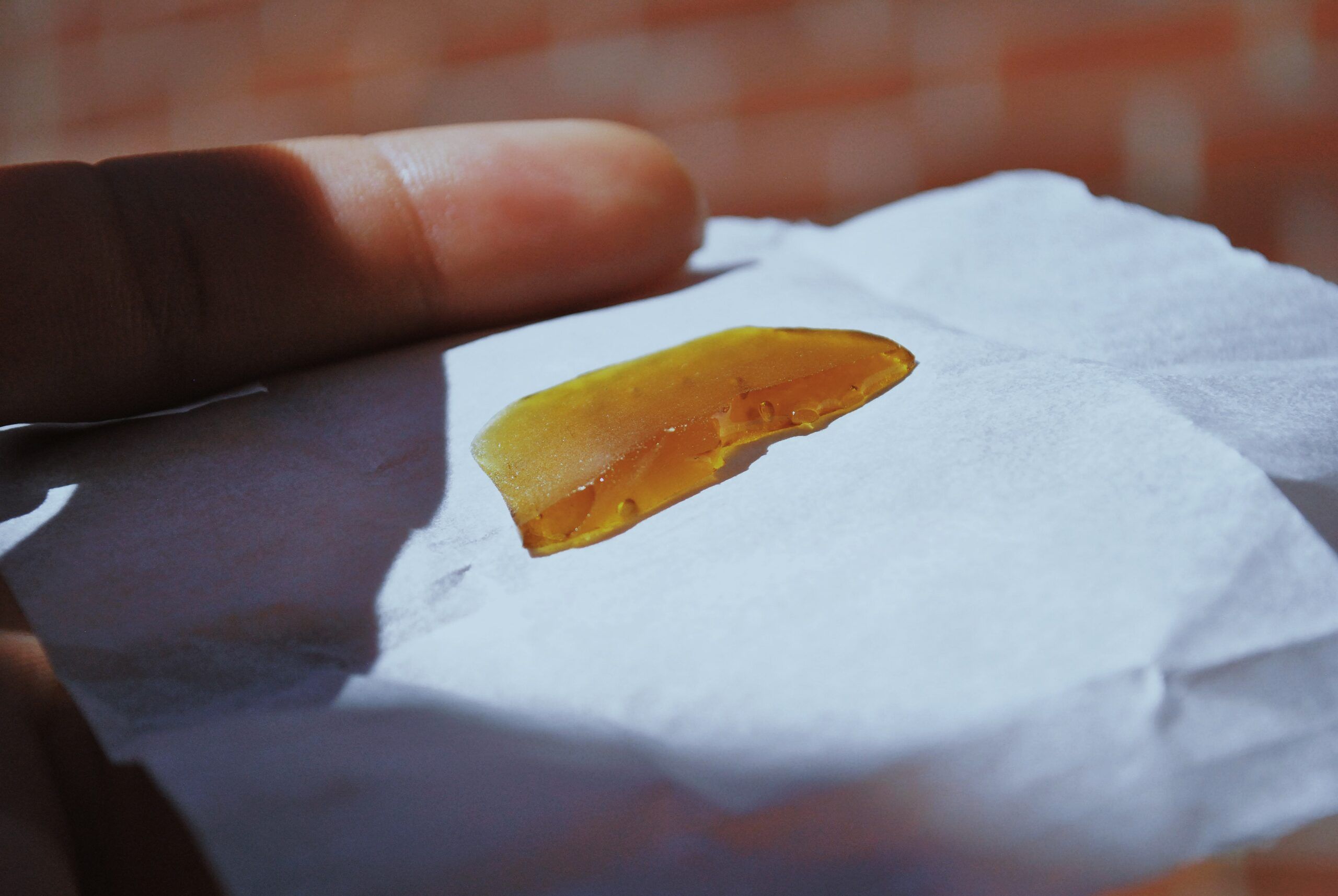 Elephant Garden Shatter Blog Post
