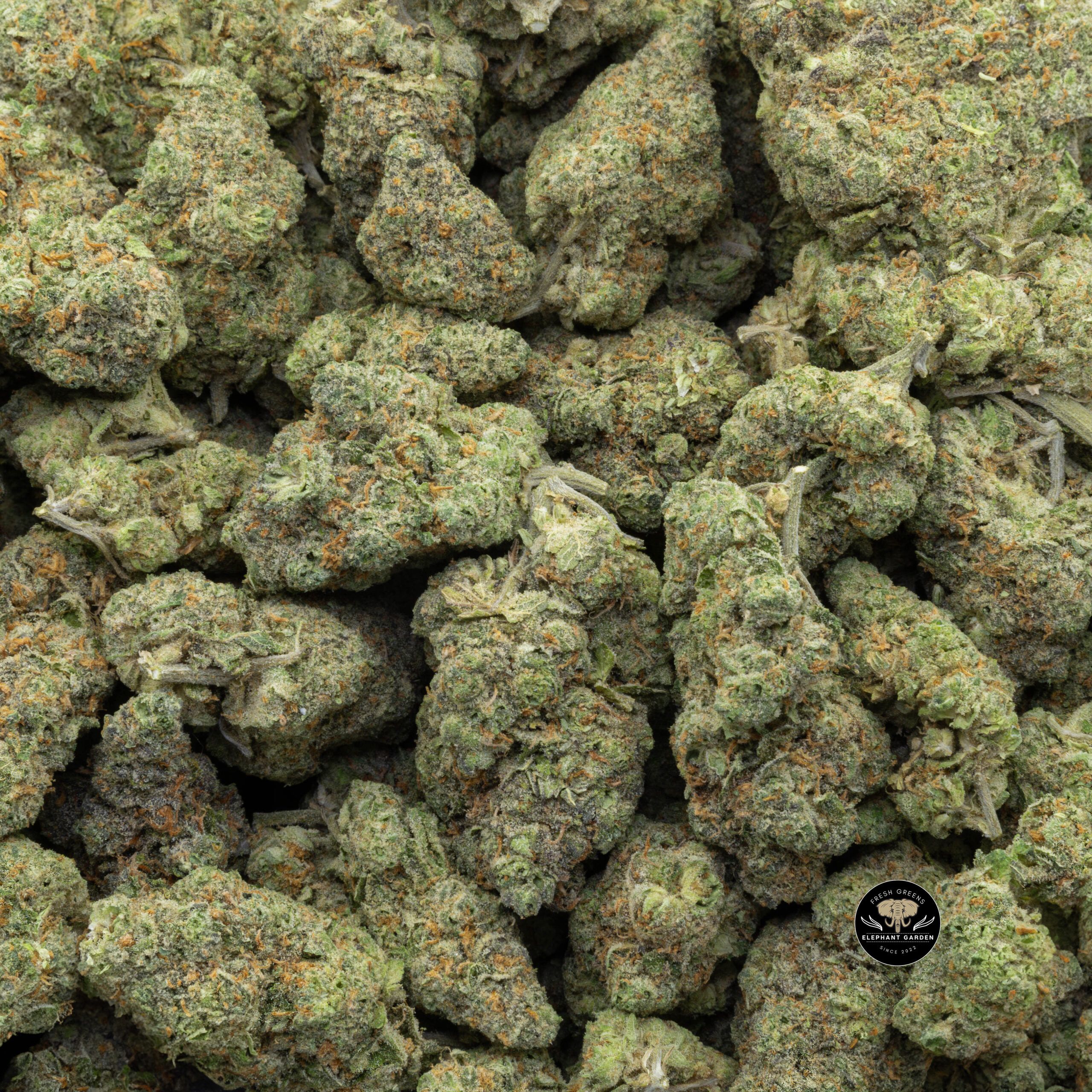 Buy Ice Cream Cake (Bulk) at Elephant Garden Co Weed Dispensary Bulk 11_23_2023 3